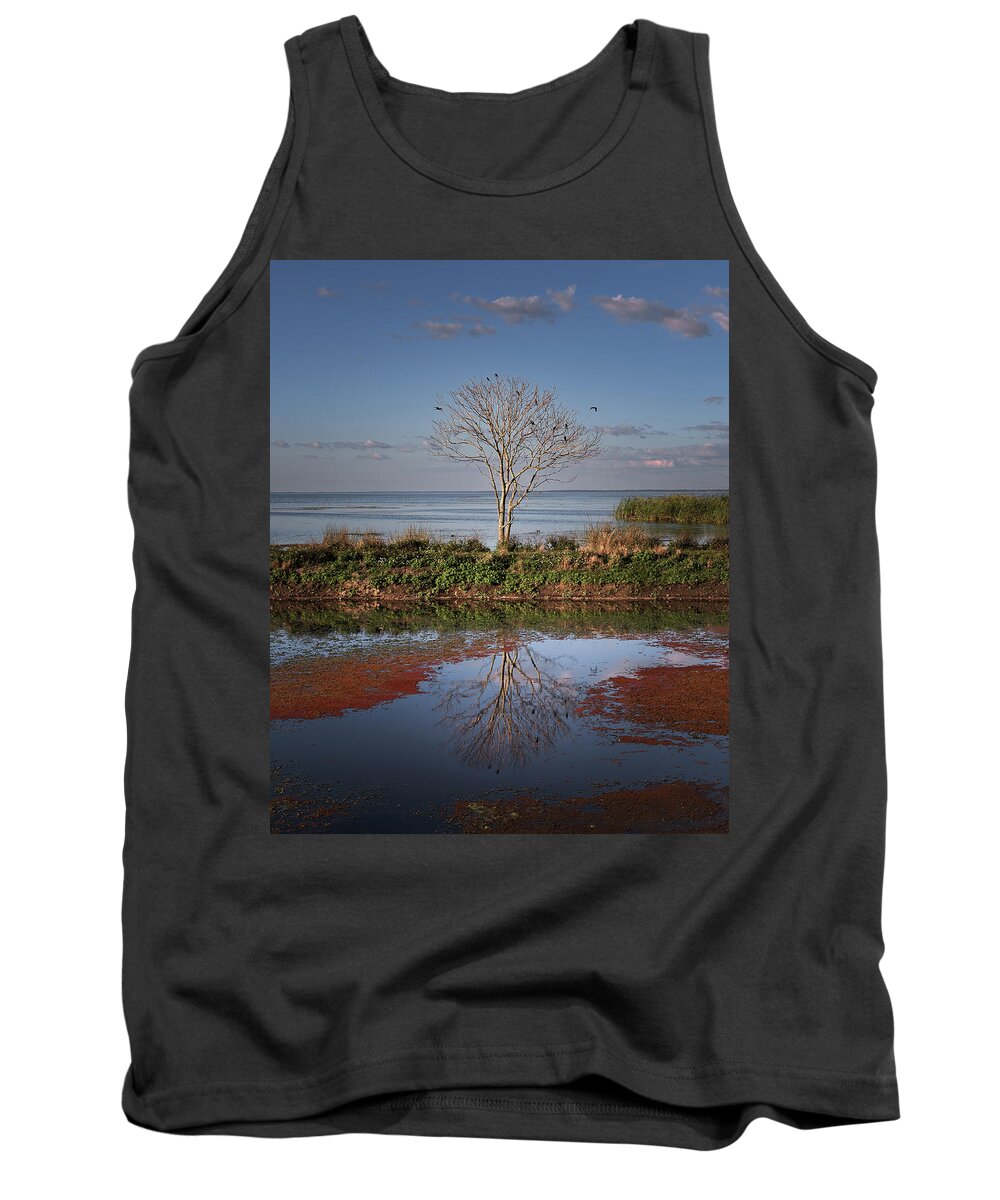 Florida Tank Top featuring the photograph Reflection of a Solitary Tree by Lars Mikkelsen