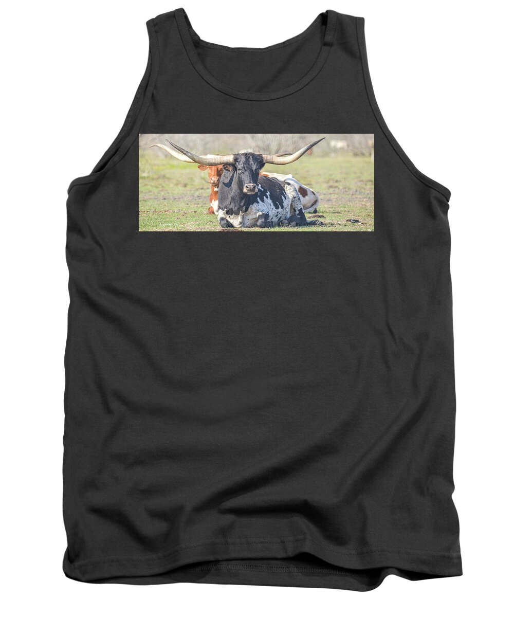 Longhorns Tank Top featuring the photograph Longhorns by Christopher Rice