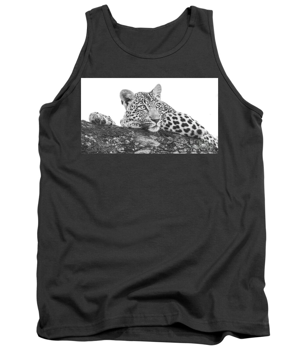 Wildlife Tank Top featuring the photograph Nap Time #1 by Sandra Bronstein