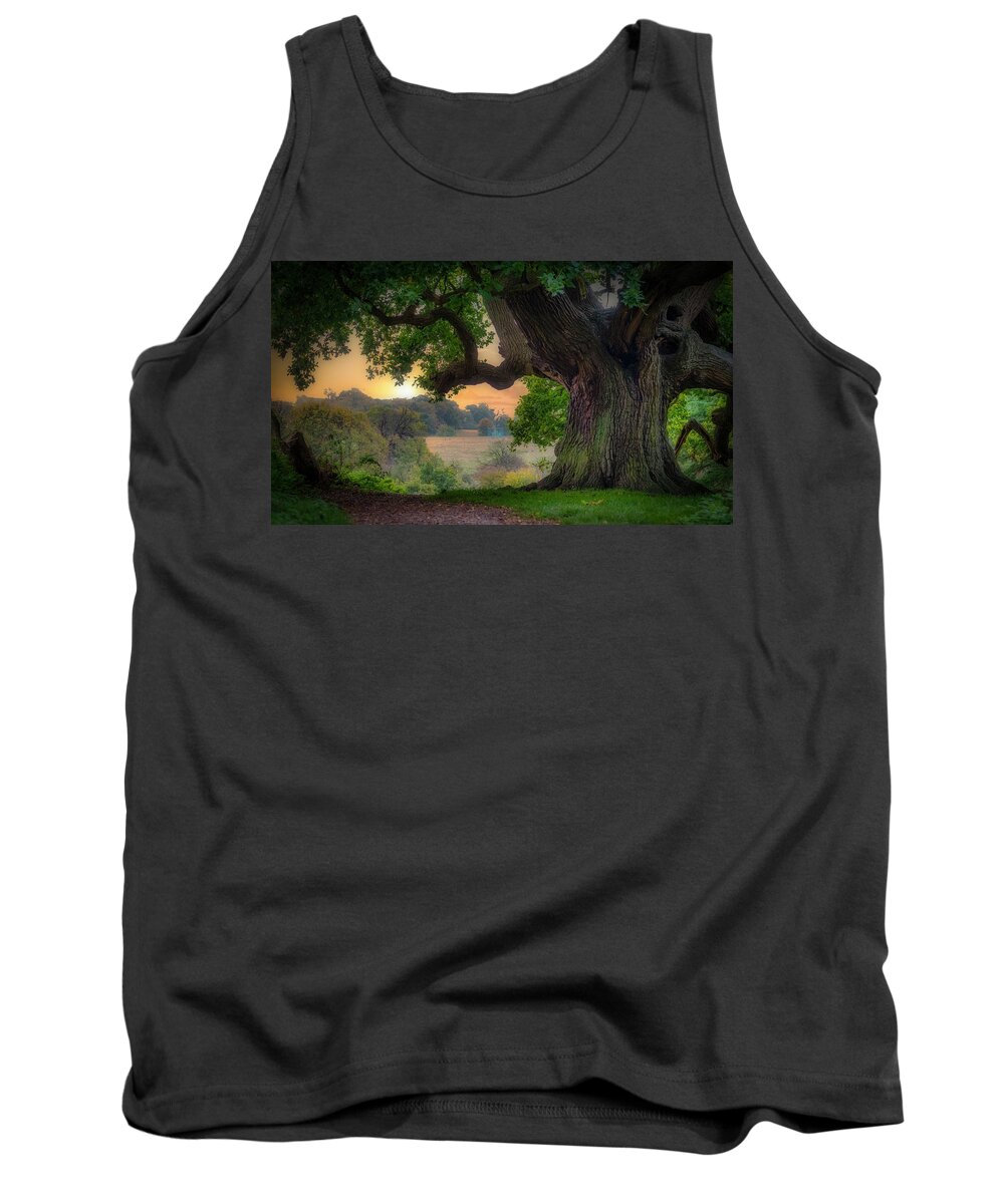 Oak. Old Oak Tank Top featuring the photograph Old oak in the morning #1 by Remigiusz MARCZAK