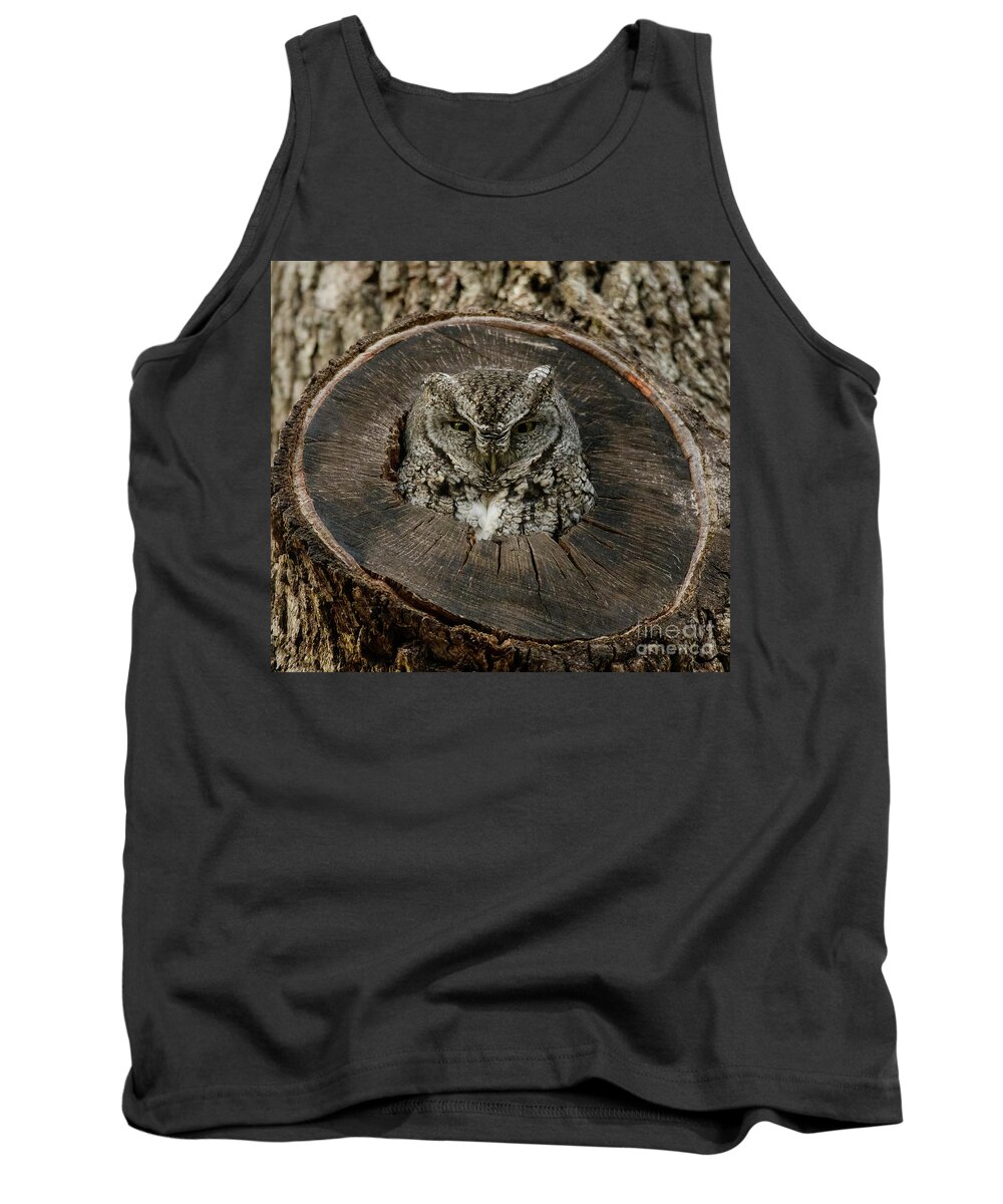 Bird Tank Top featuring the photograph Screech Owl #1 by Patrick Nowotny