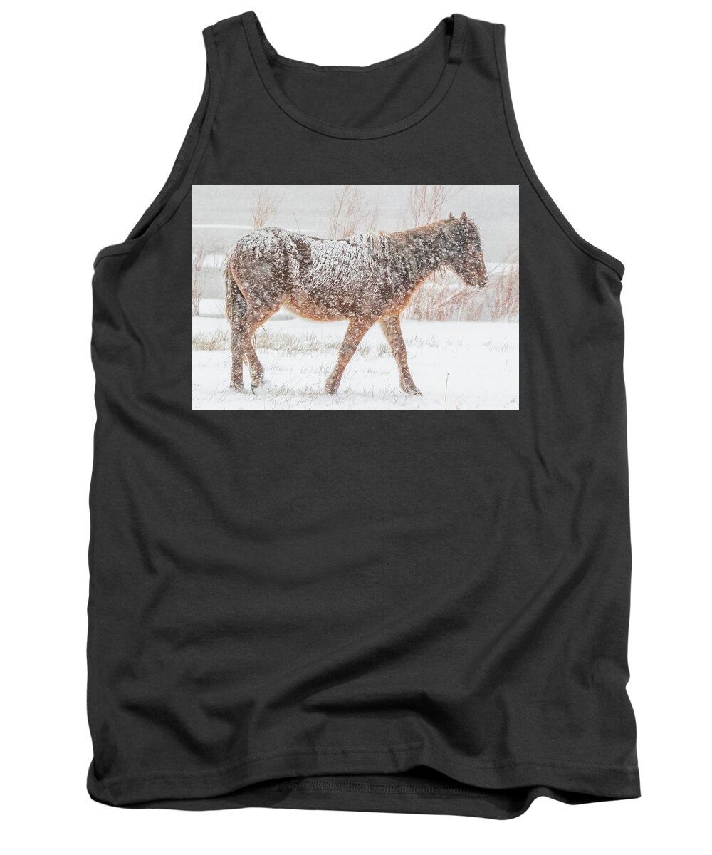 Nevada Tank Top featuring the photograph Searching For Food #1 by Marc Crumpler