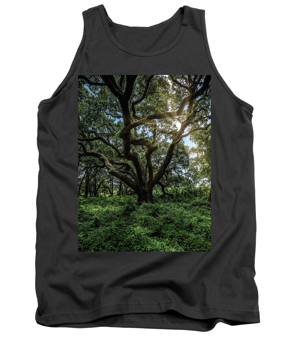 Southport Tank Top featuring the photograph Southport Live Oak #1 by Nick Noble