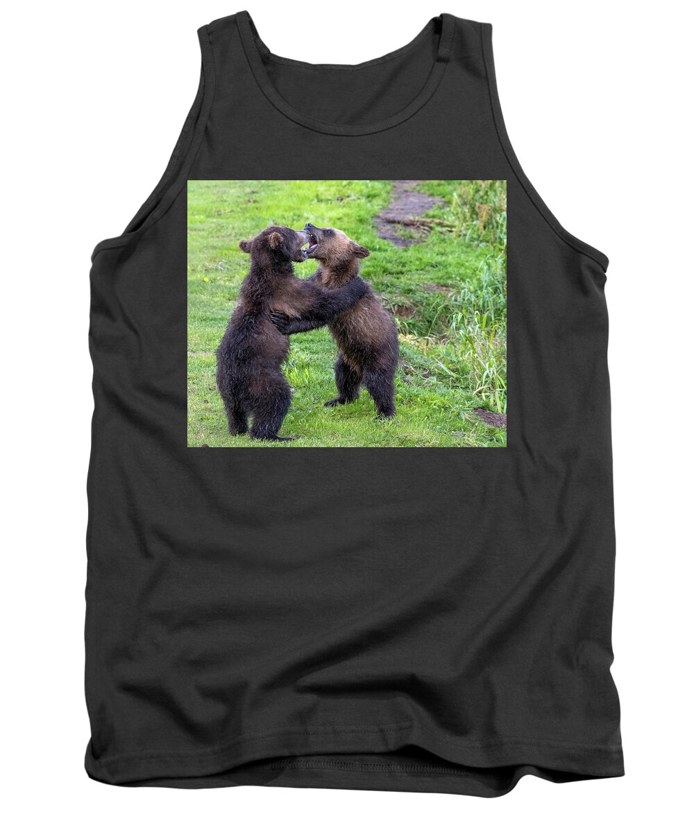 Bear Tank Top featuring the photograph Two brown bear cubs playing by Mikhail Kokhanchikov