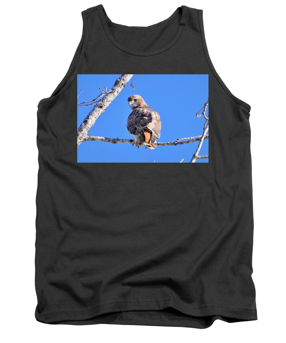 - Red-tailed Hawk Tank Top featuring the photograph - Red-tailed Hawk #2 by THERESA Nye