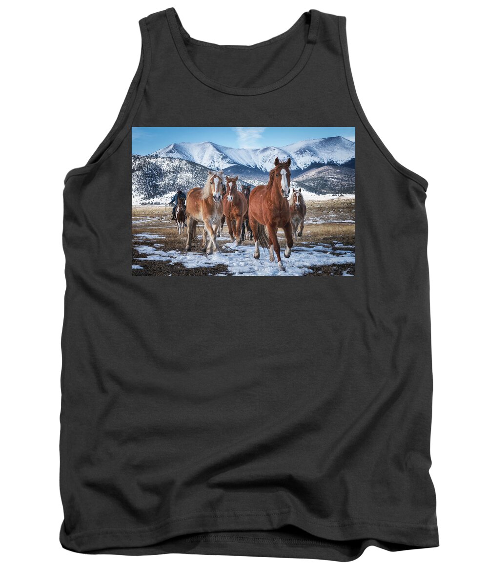 Horses Tank Top featuring the photograph Colorado Horses #3 by David Soldano