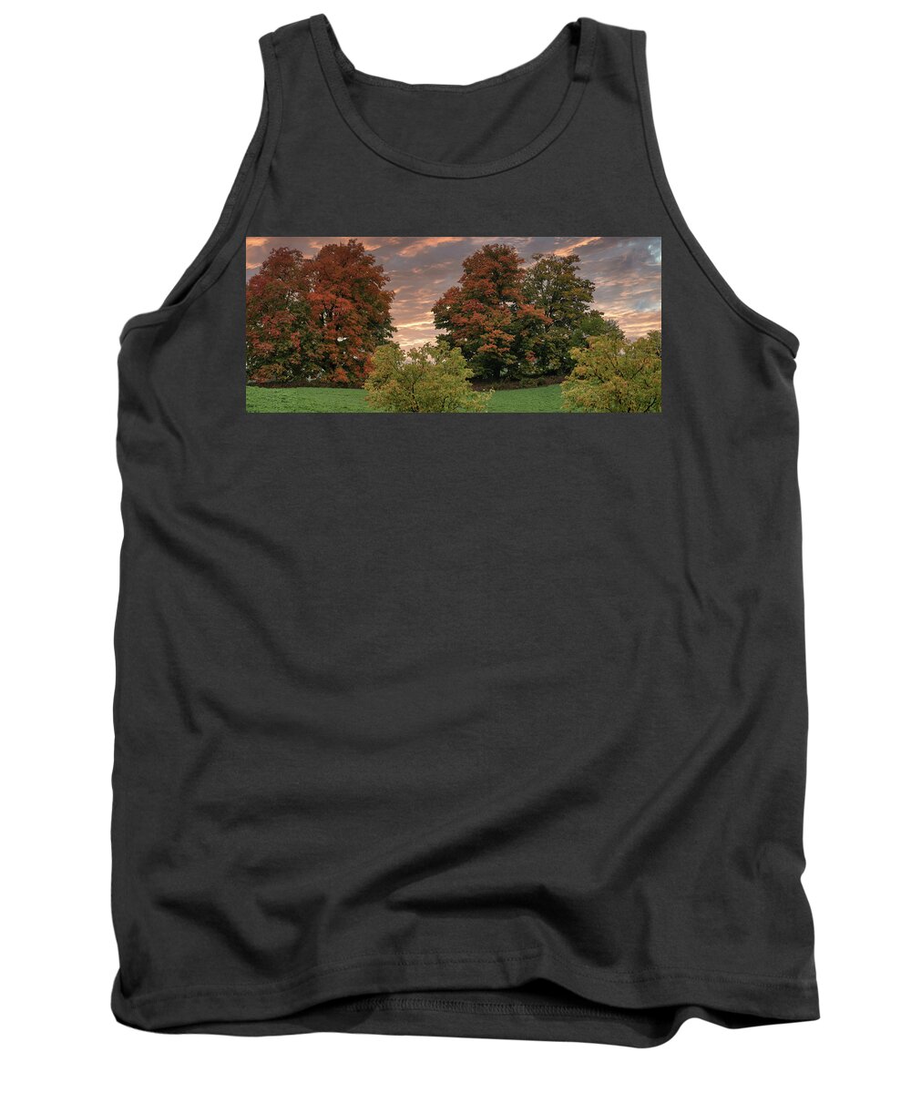 Canada Tank Top featuring the photograph Fall colors #3 by Nick Mares