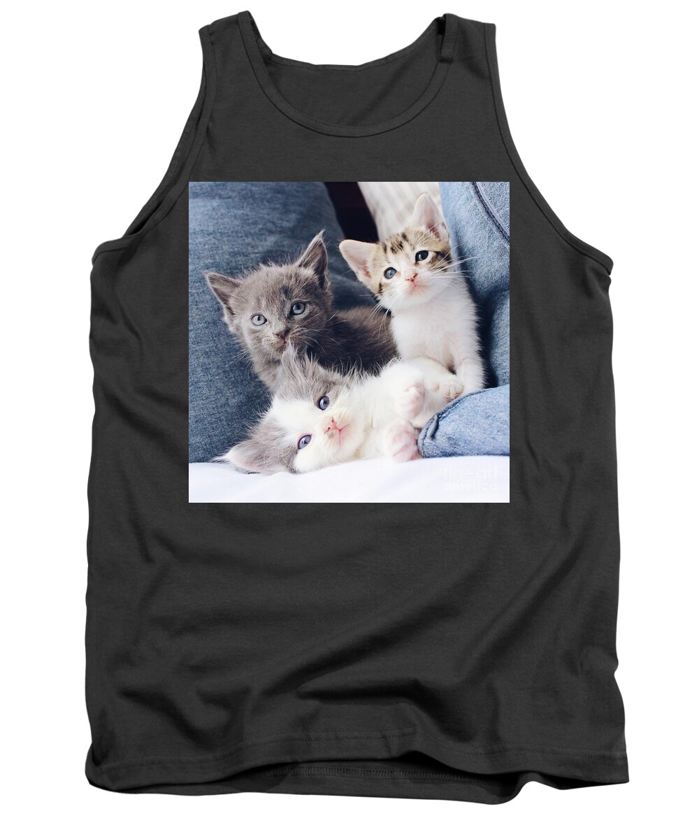 Sea Tank Top featuring the photograph 3 Wise Kitties by Michael Graham