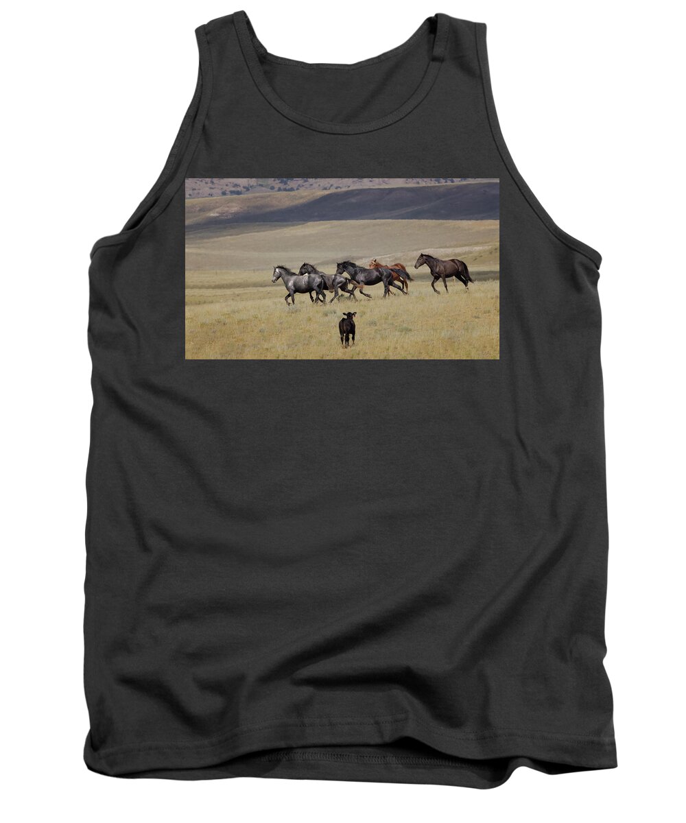 Horse Tank Top featuring the photograph Wild Horses #38 by Laura Terriere