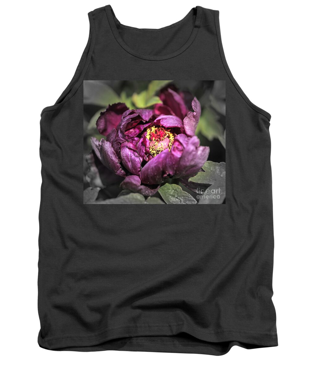 Flower Tank Top featuring the photograph Tree Peony #4 by Cathy Donohoue