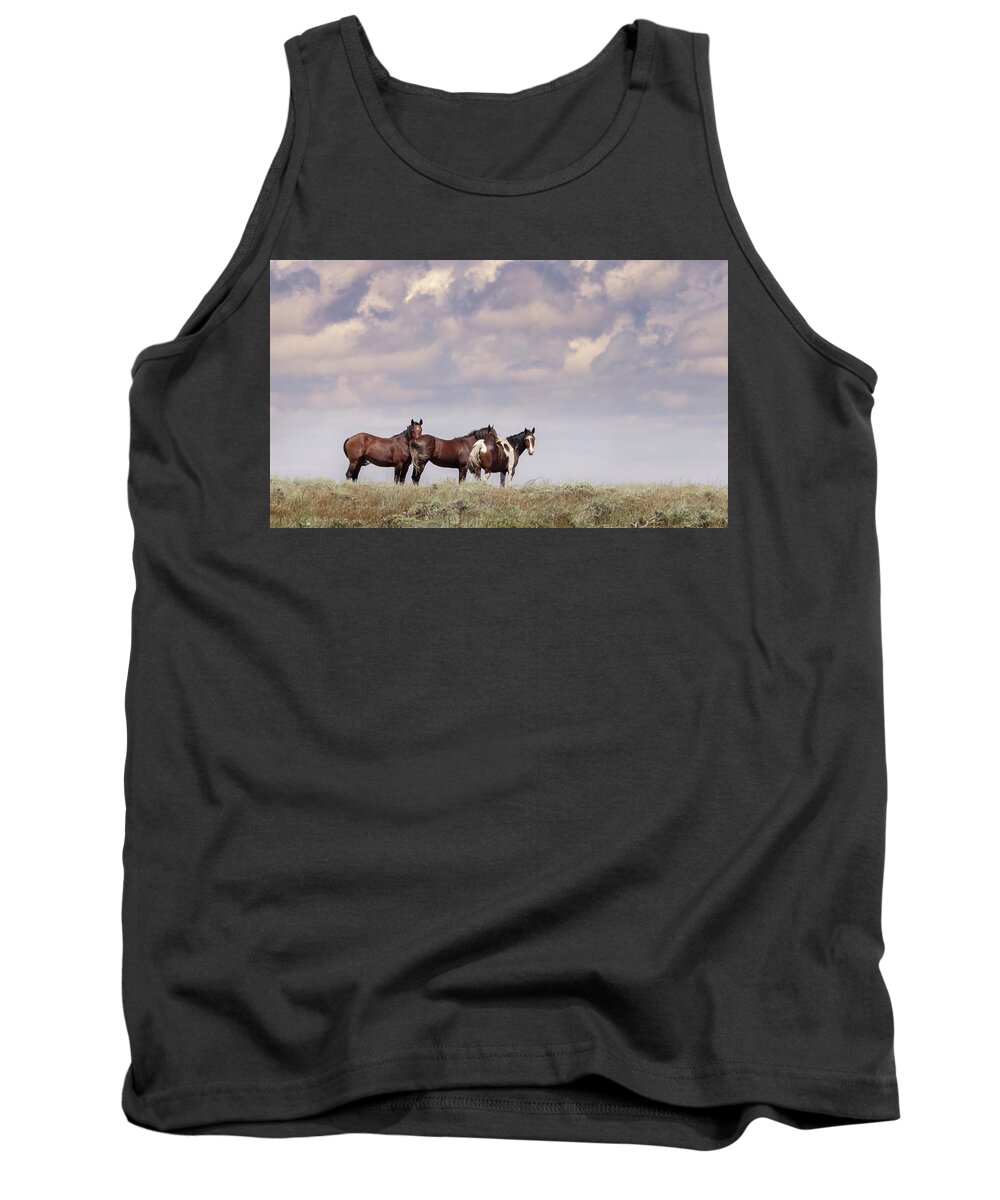 Horse Tank Top featuring the photograph Wild Horses #41 by Laura Terriere