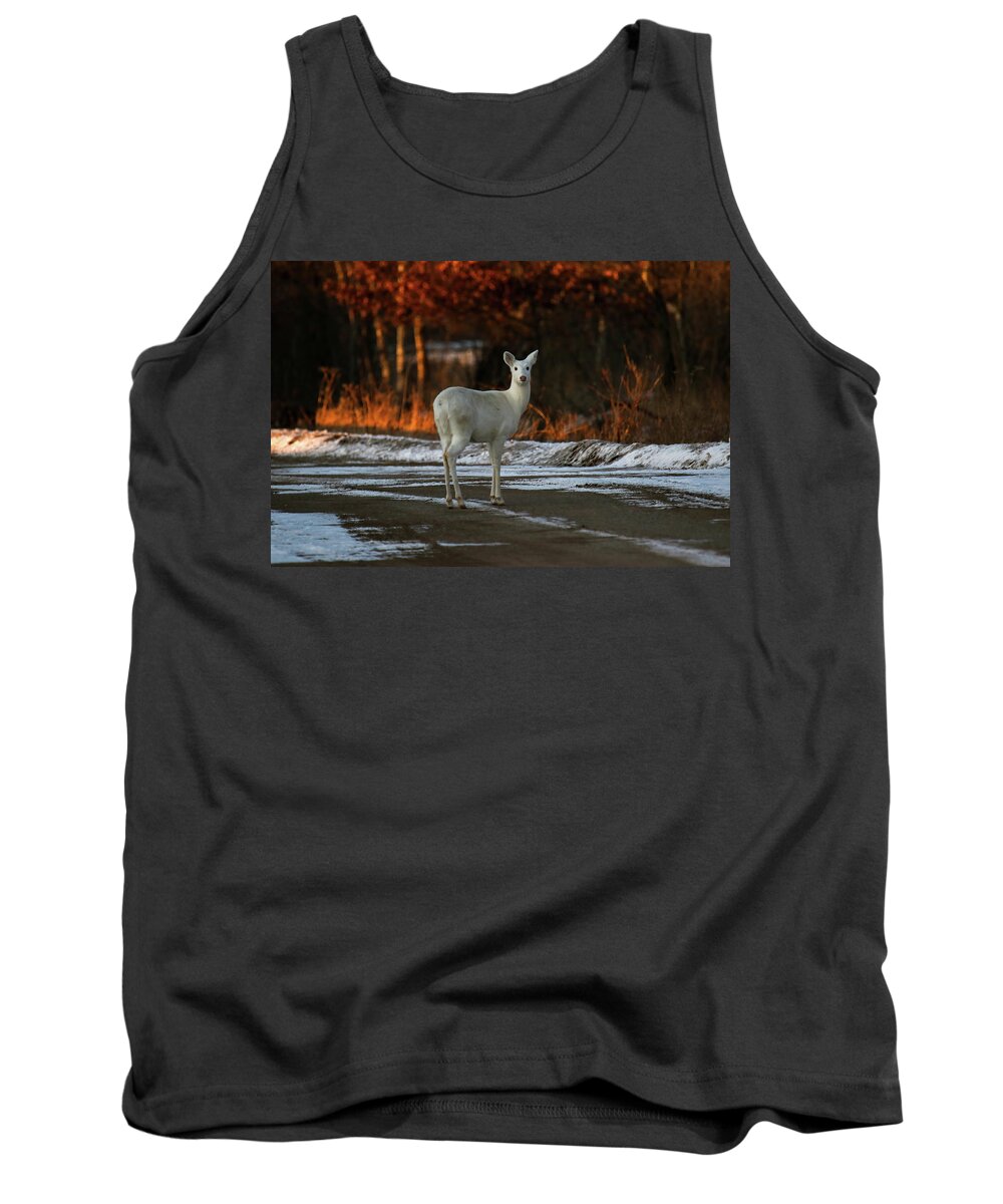 White Tank Top featuring the photograph White Deer #5 by Brook Burling