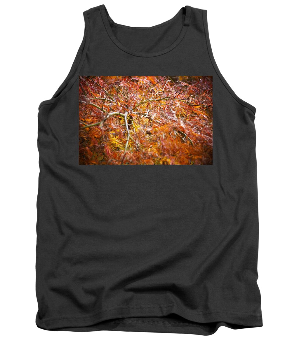 Trees Tank Top featuring the photograph Parco Cavour. Ottobre 2016 by Marco Cattaruzzi