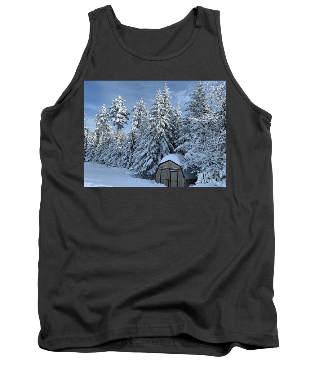  Tank Top featuring the photograph Winter Wonderland #6 by Annamaria Frost