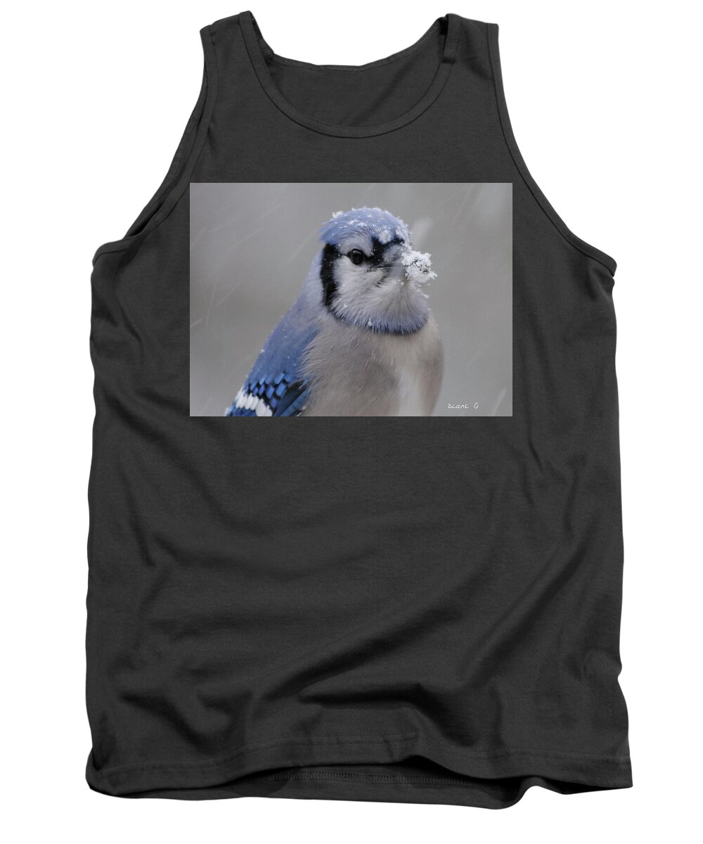 Winter Blue Jay Tank Top featuring the photograph Winter Blue Jay #8 by Diane Giurco