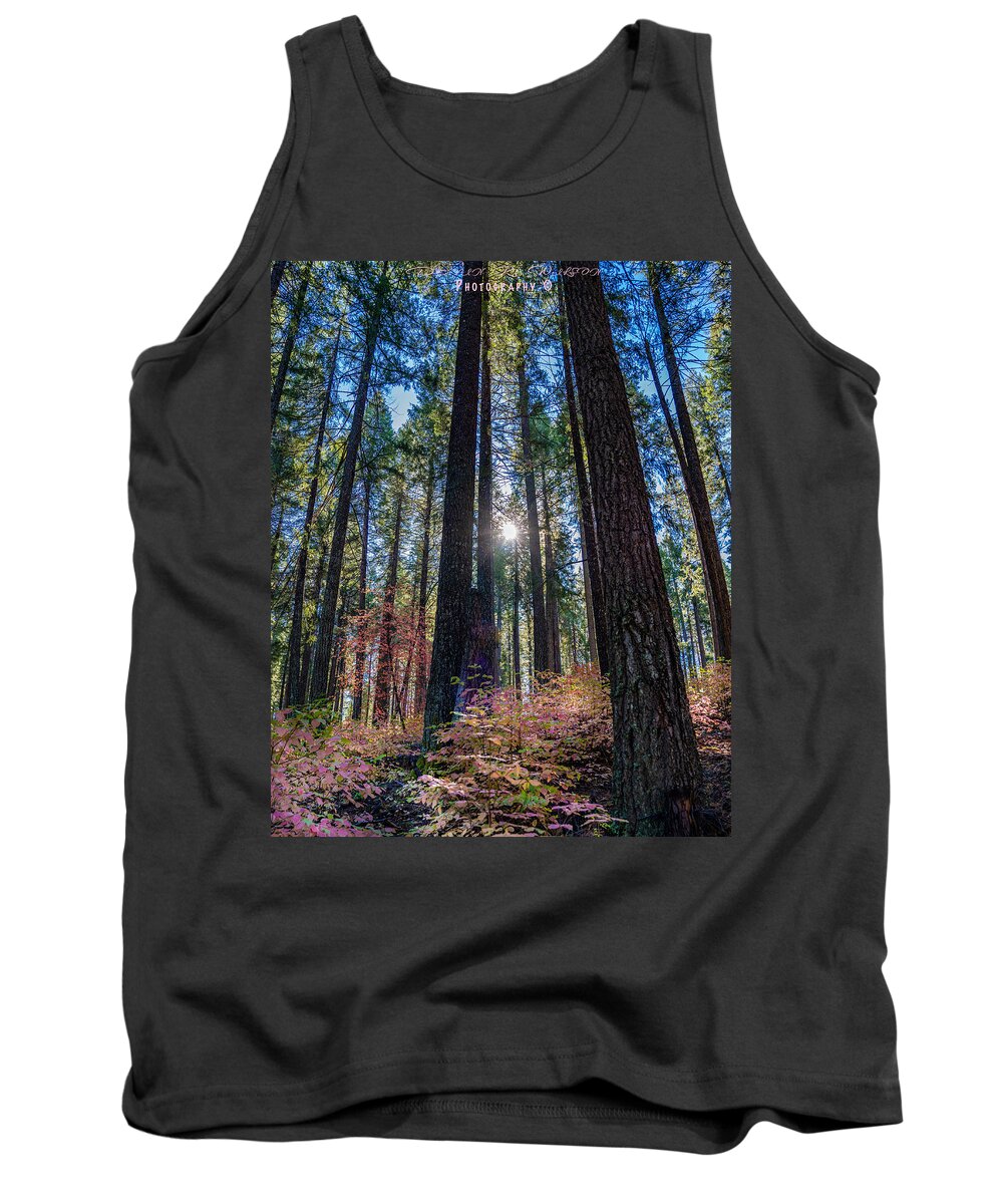 Forest Tank Top featuring the photograph A Forest of Pink by Devin Wilson