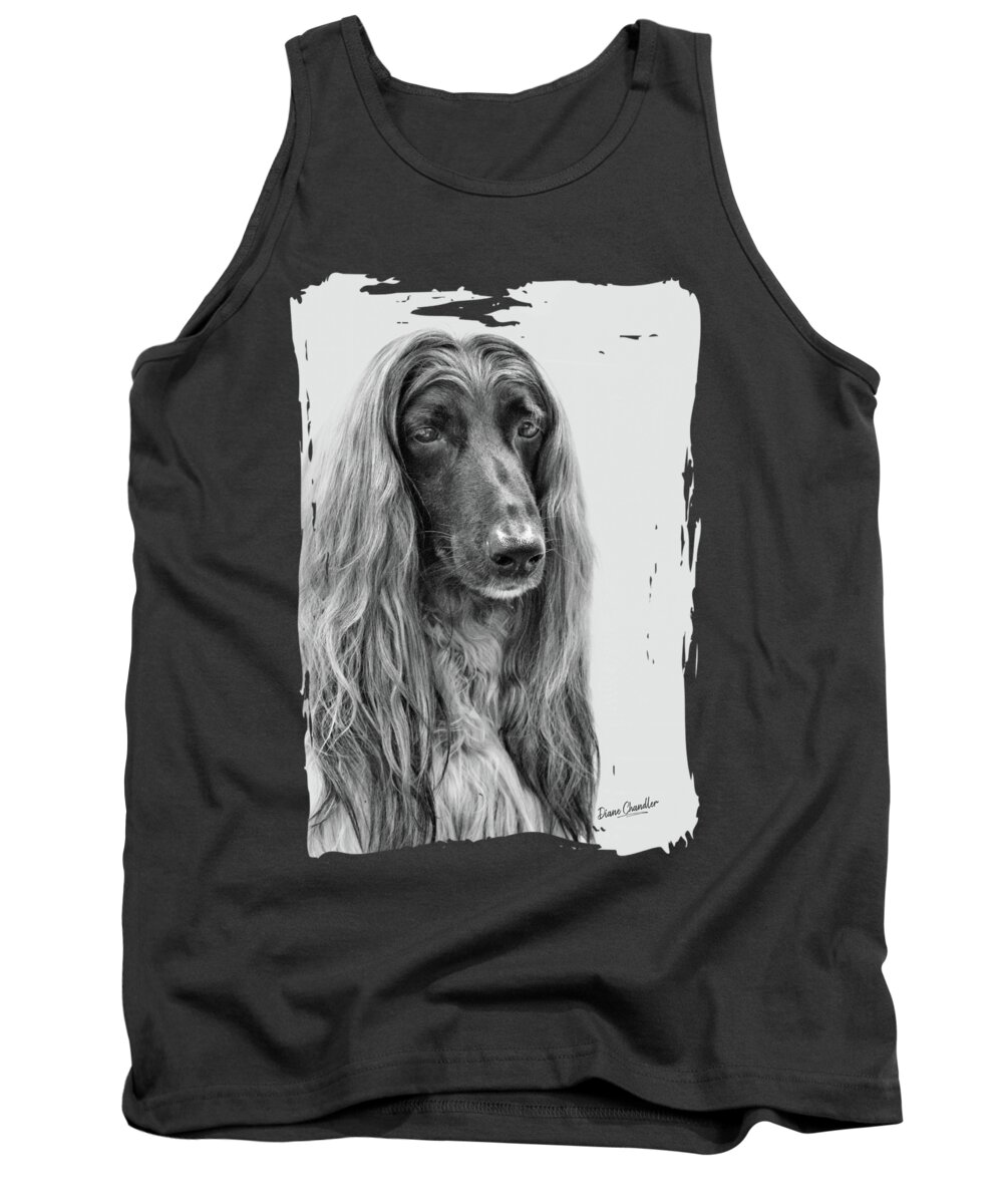 Afghan Hound Tank Top featuring the photograph A Kind and Regal Spirit by Diane Chandler