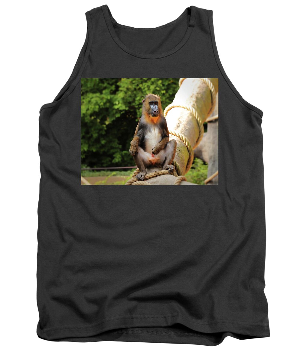 Mandrill Tank Top featuring the photograph Mandrillus sphinx sitting on the trunk by Vaclav Sonnek