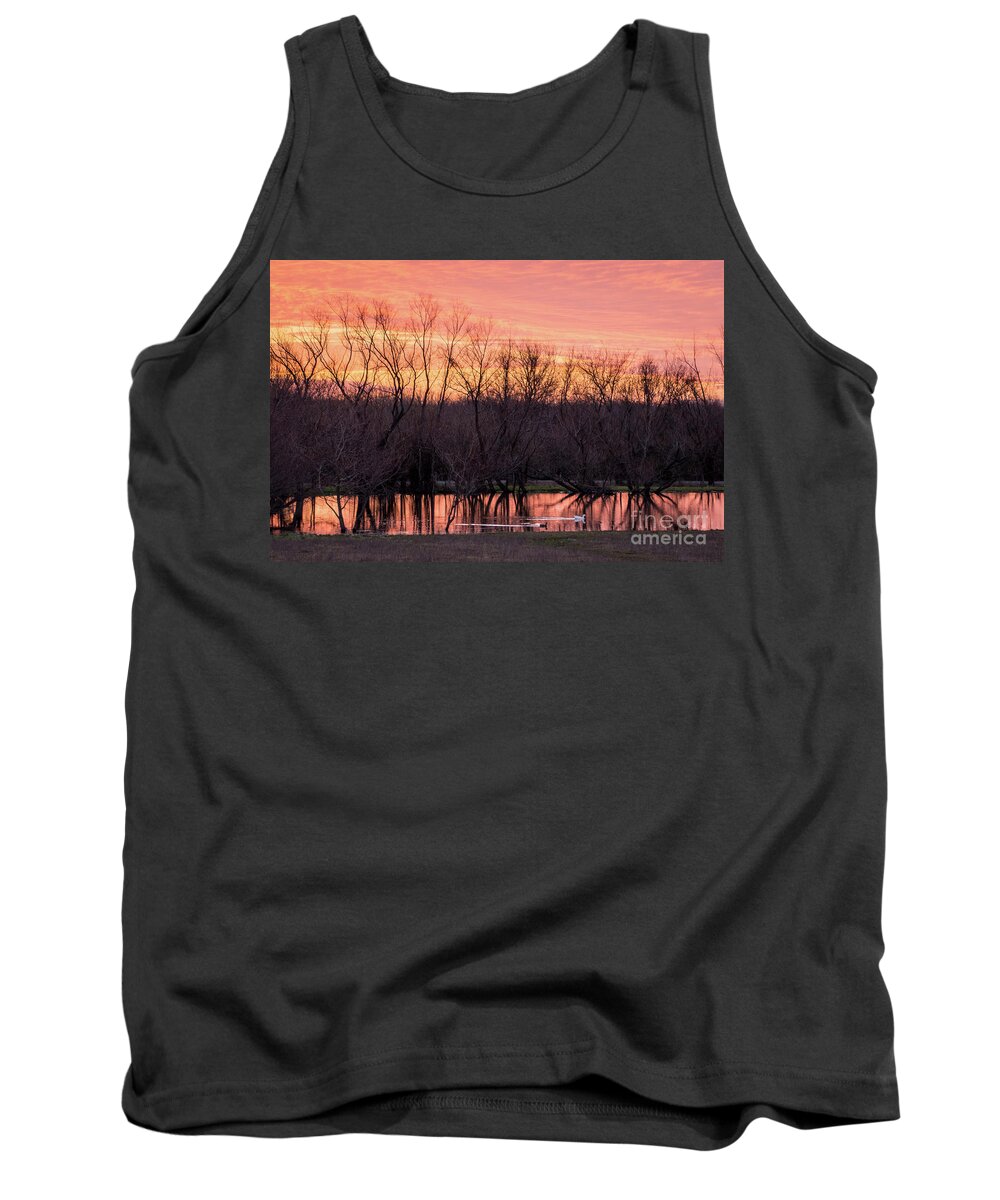 Ducks Tank Top featuring the photograph A New Day by Cheryl McClure