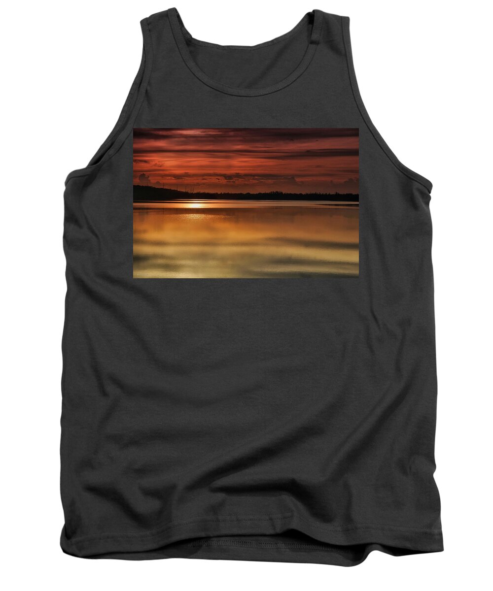 Leisure Tank Top featuring the photograph A New World by Montez Kerr
