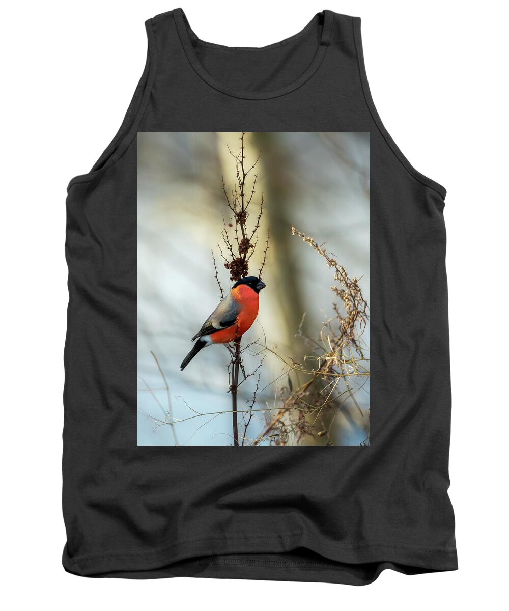 Pyrrhula Tank Top featuring the photograph A red beauty by Rose-Marie Karlsen