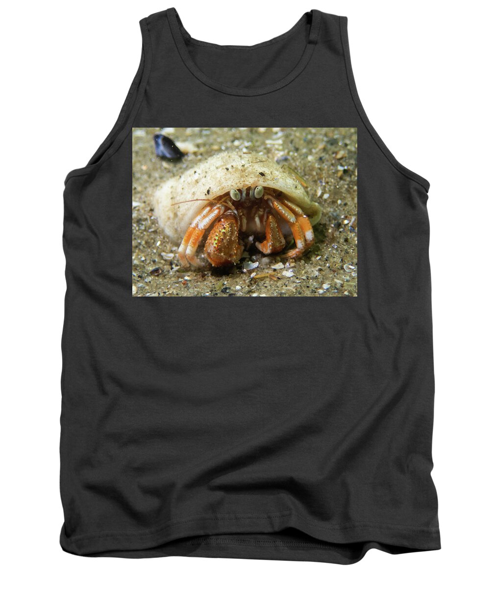 Crab Tank Top featuring the photograph Acadian Hermit Crab by Brian Weber
