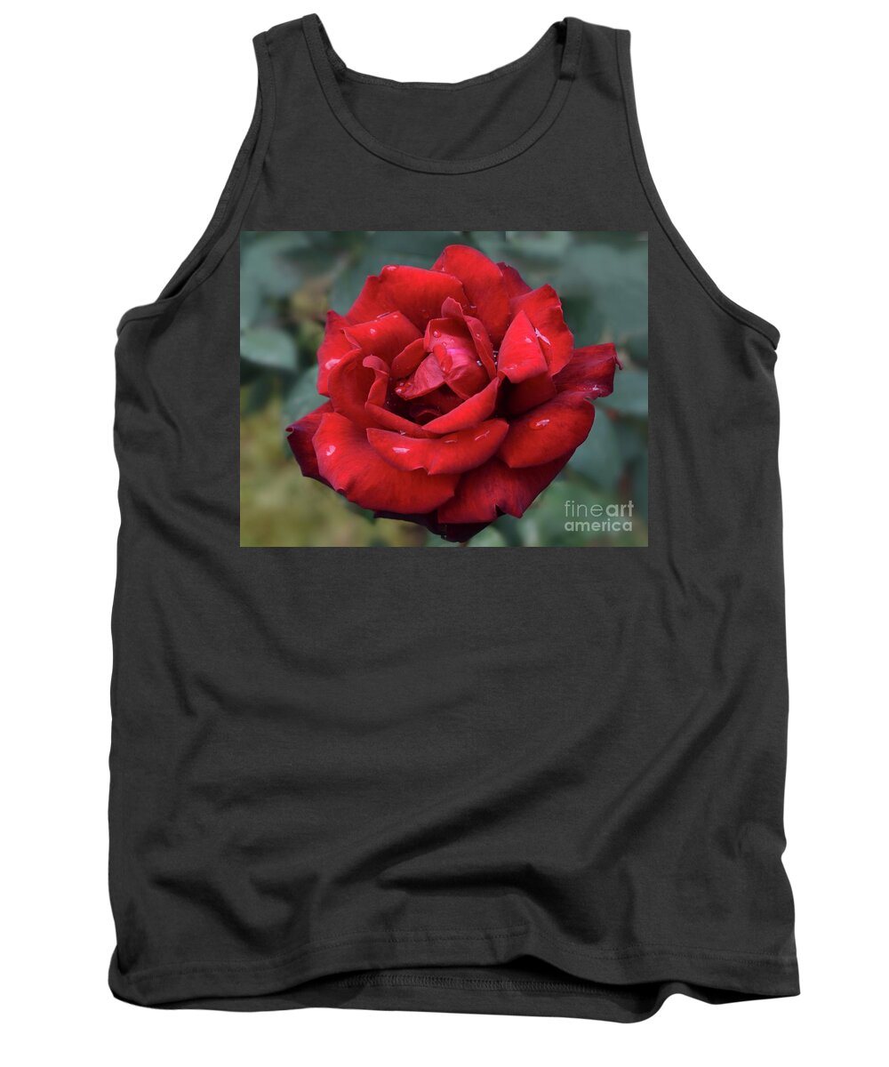 Rain Tank Top featuring the photograph After Rain Beauty Of Dark Red Rose by Leonida Arte