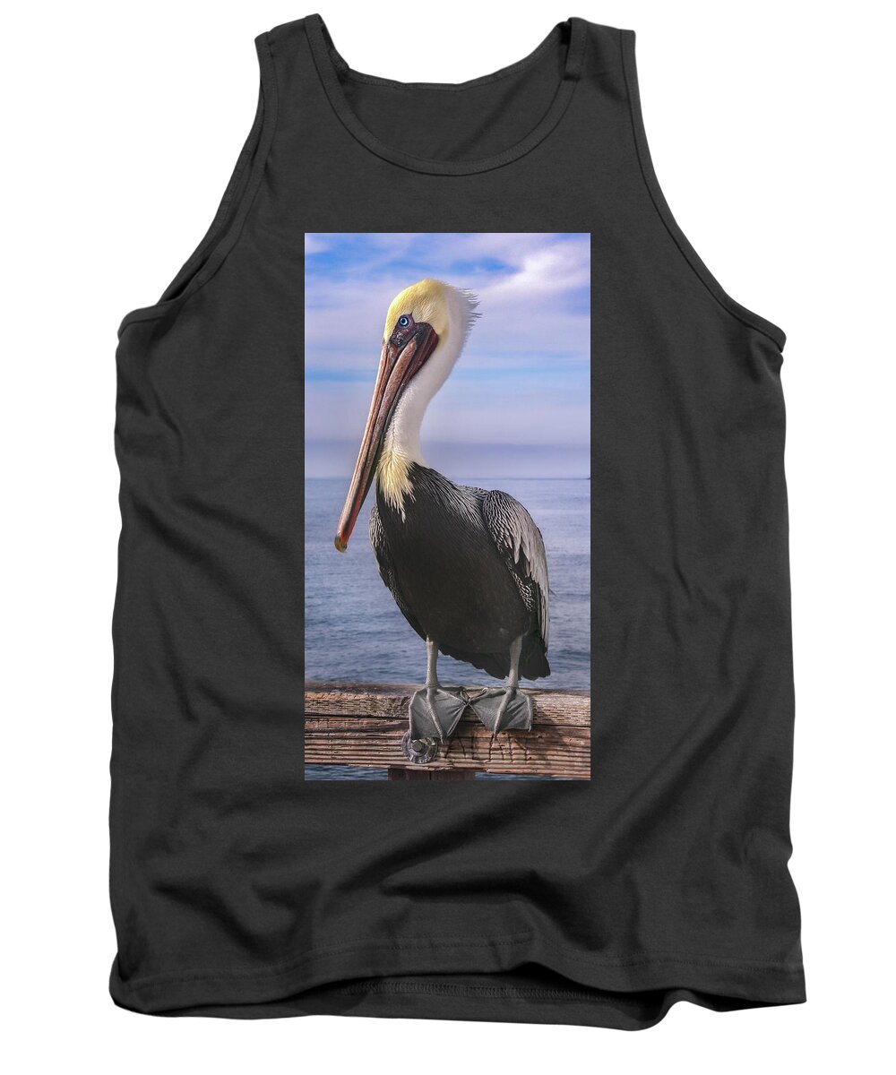 Pelican Tank Top featuring the photograph Alan the Pretty Pelican 1 by Sally Bauer