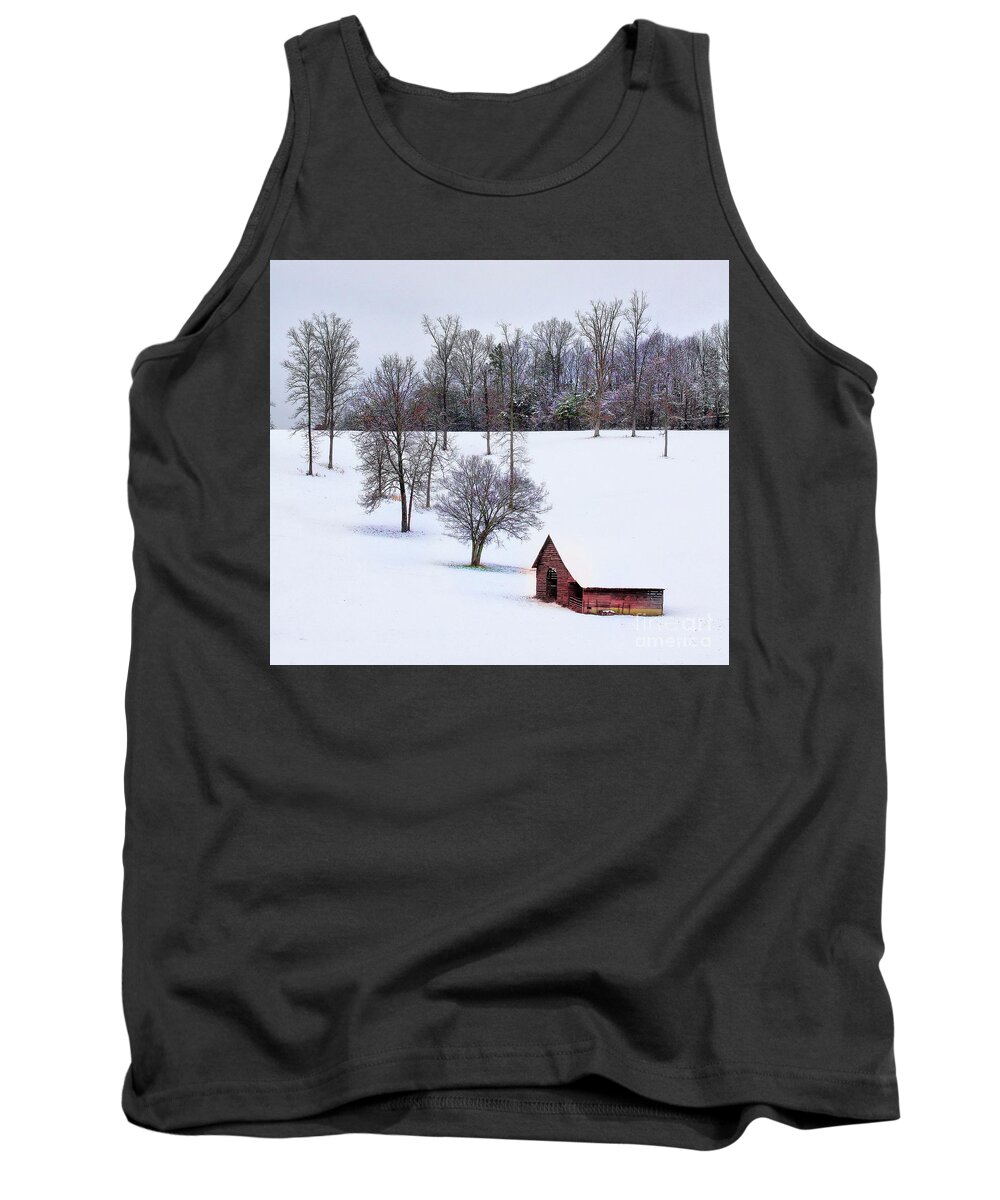 Snow Tank Top featuring the photograph All is calm... by Rick Lipscomb