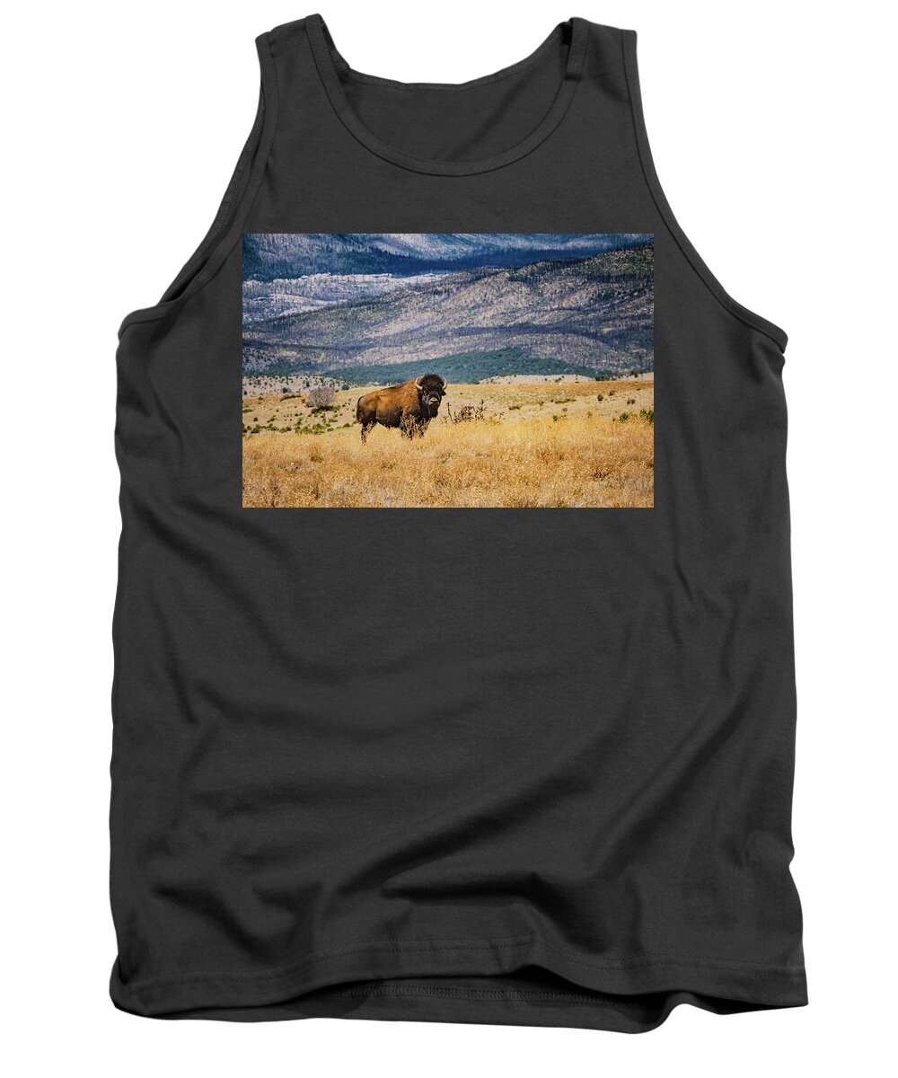 Buffalo Tank Top featuring the photograph American Bison by Linda Unger