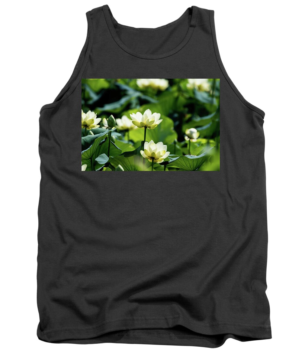 Lotus Tank Top featuring the photograph American Lotus by Rose Guinther