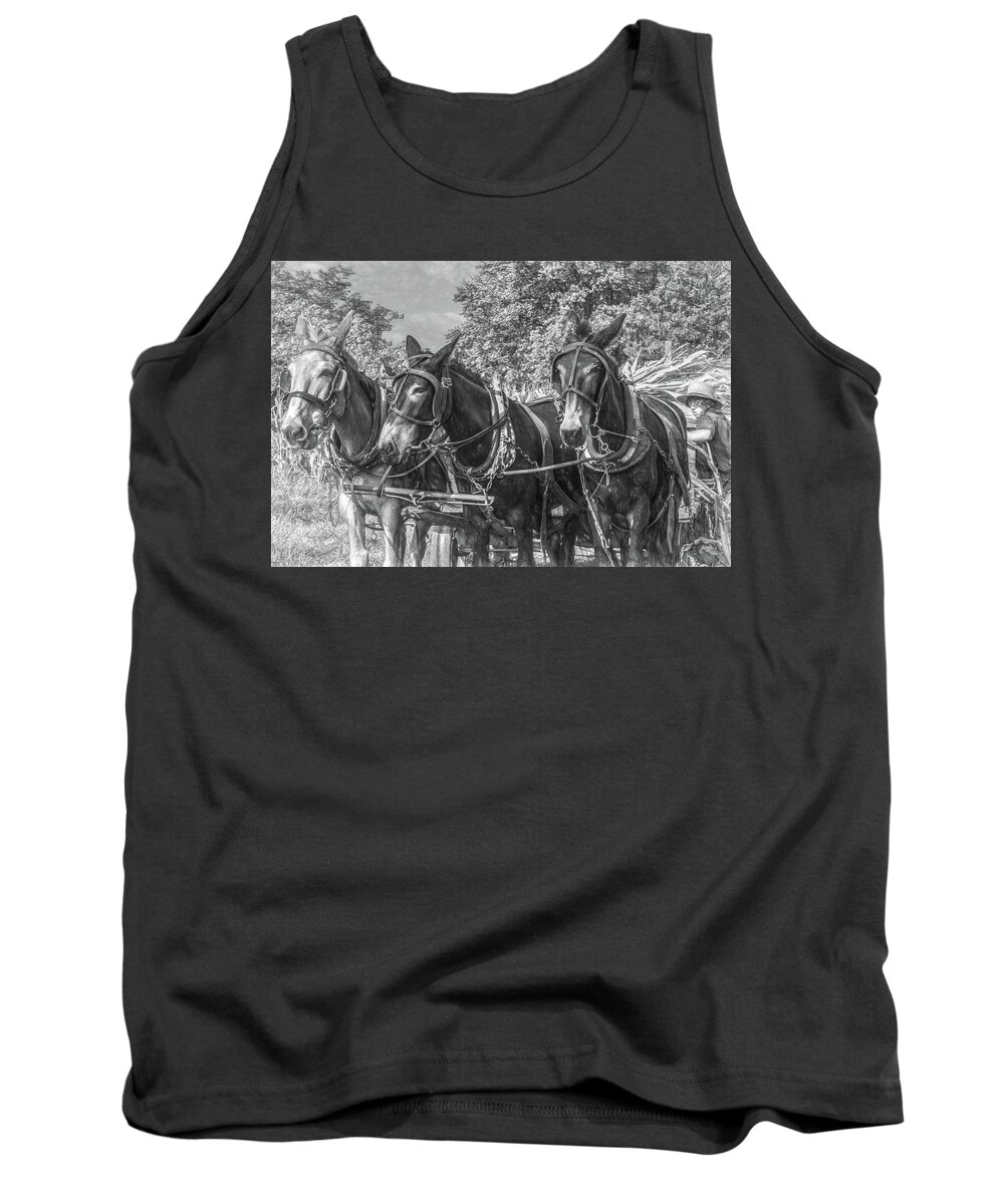 Horses Tank Top featuring the photograph Amish Corn Harvest, Lancaster County by Marcy Wielfaert