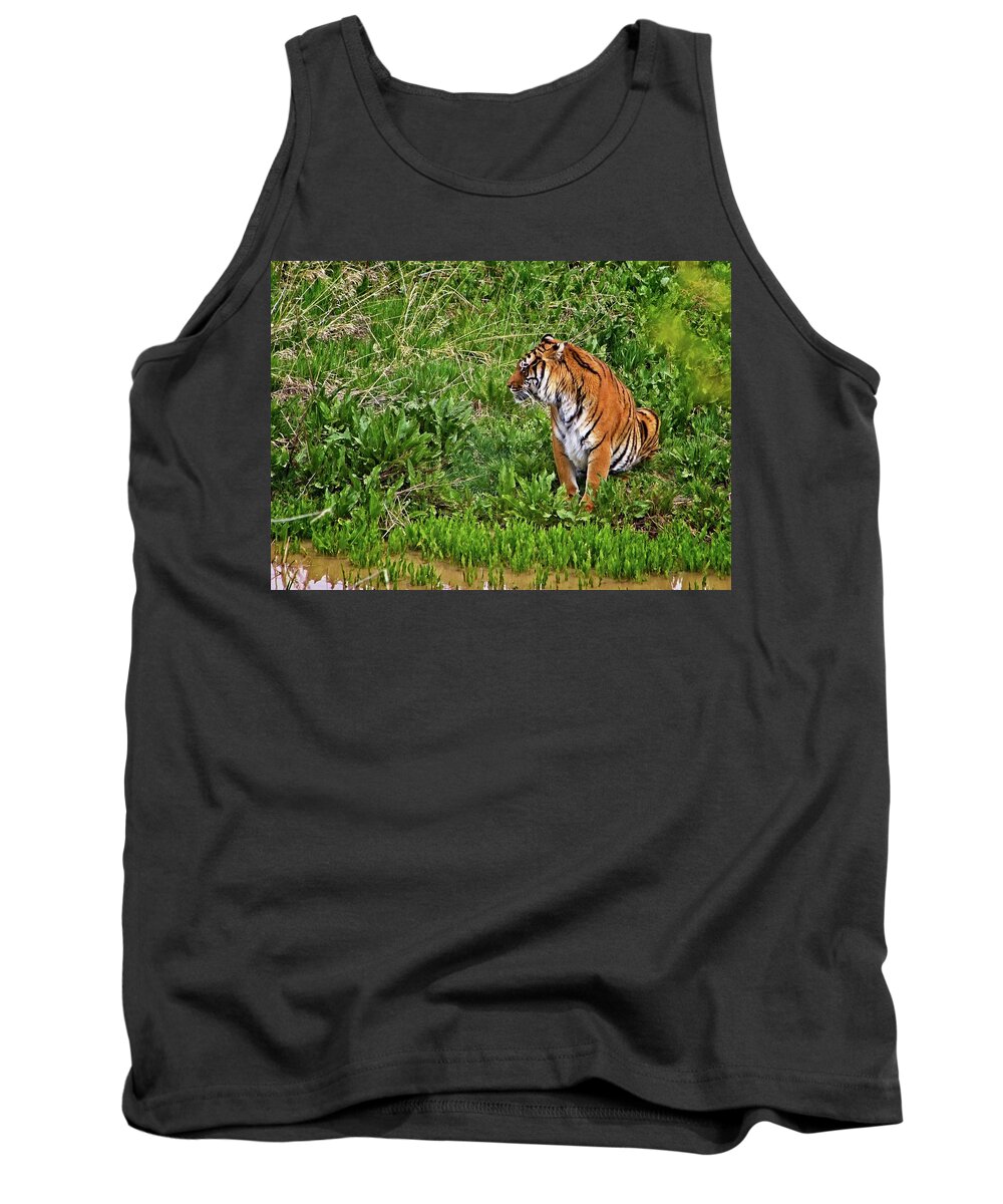 Nature Tank Top featuring the photograph Tiger Taking A Drink #2 by Loren Gilbert