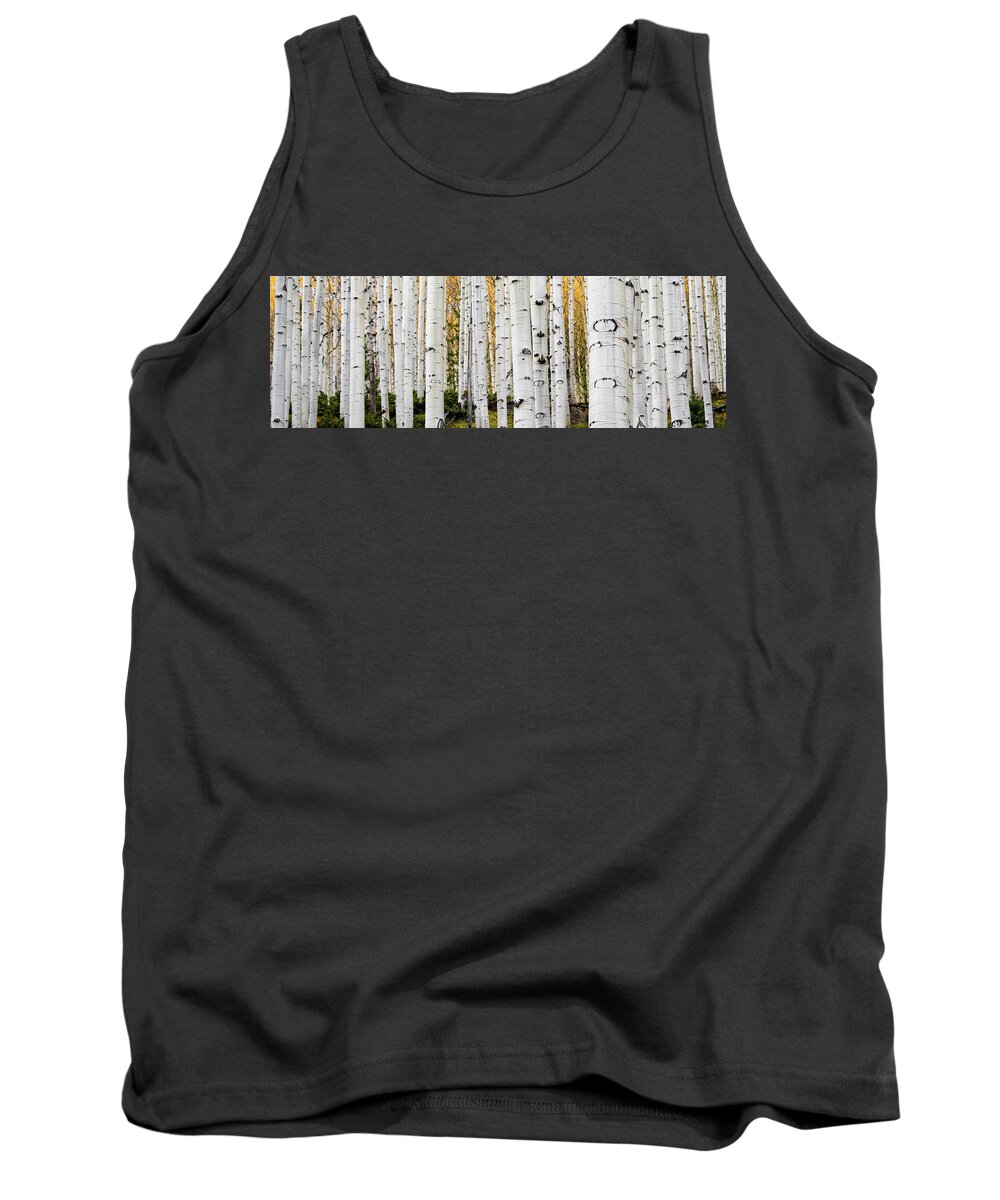 Aspen Tank Top featuring the photograph Aspens and Gold - 3 to 1 by Stephen Holst