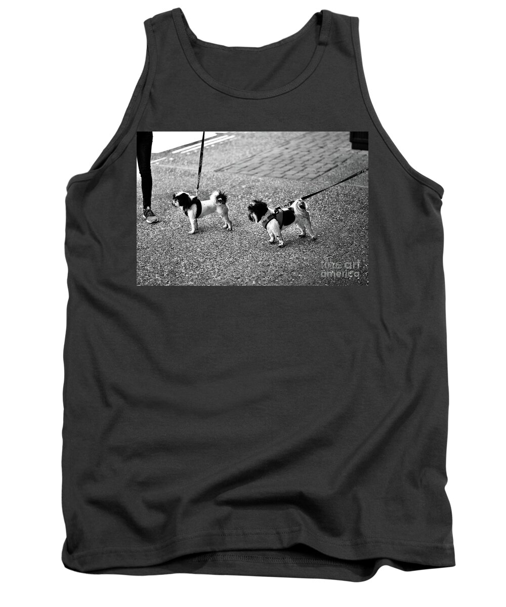  Tank Top featuring the photograph Attention by Dennis Richardson