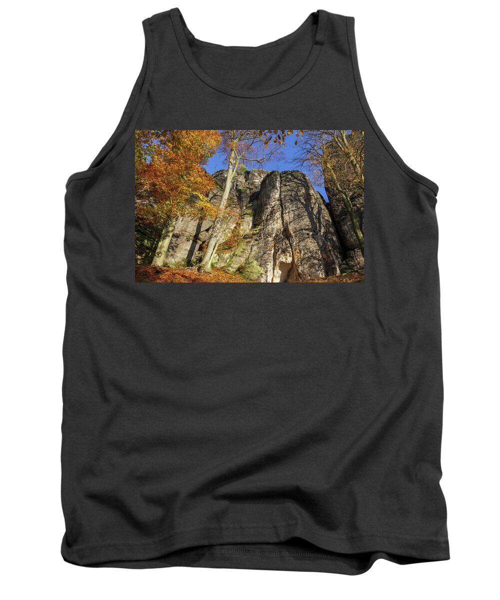 Saxon Switzerland Tank Top featuring the photograph Autumn colors in Saxon Switzerland by Sun Travels