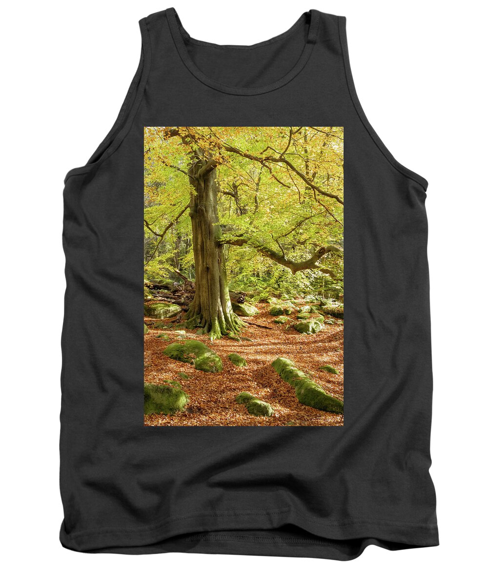 Autumn Tank Top featuring the photograph Autumn colours in Derbyshire by Sue Leonard