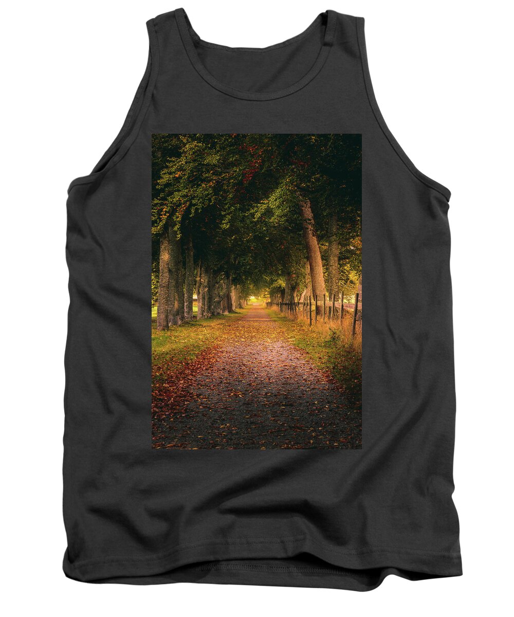 Autumn Tank Top featuring the photograph Autumn Country Road by Nicklas Gustafsson