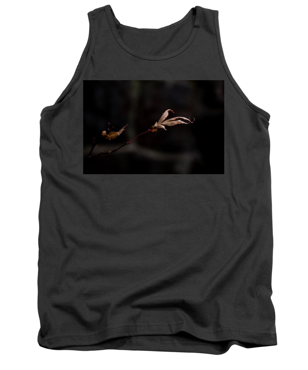 Autumn Tank Top featuring the photograph Autumn Fades to Black by Toni Hopper