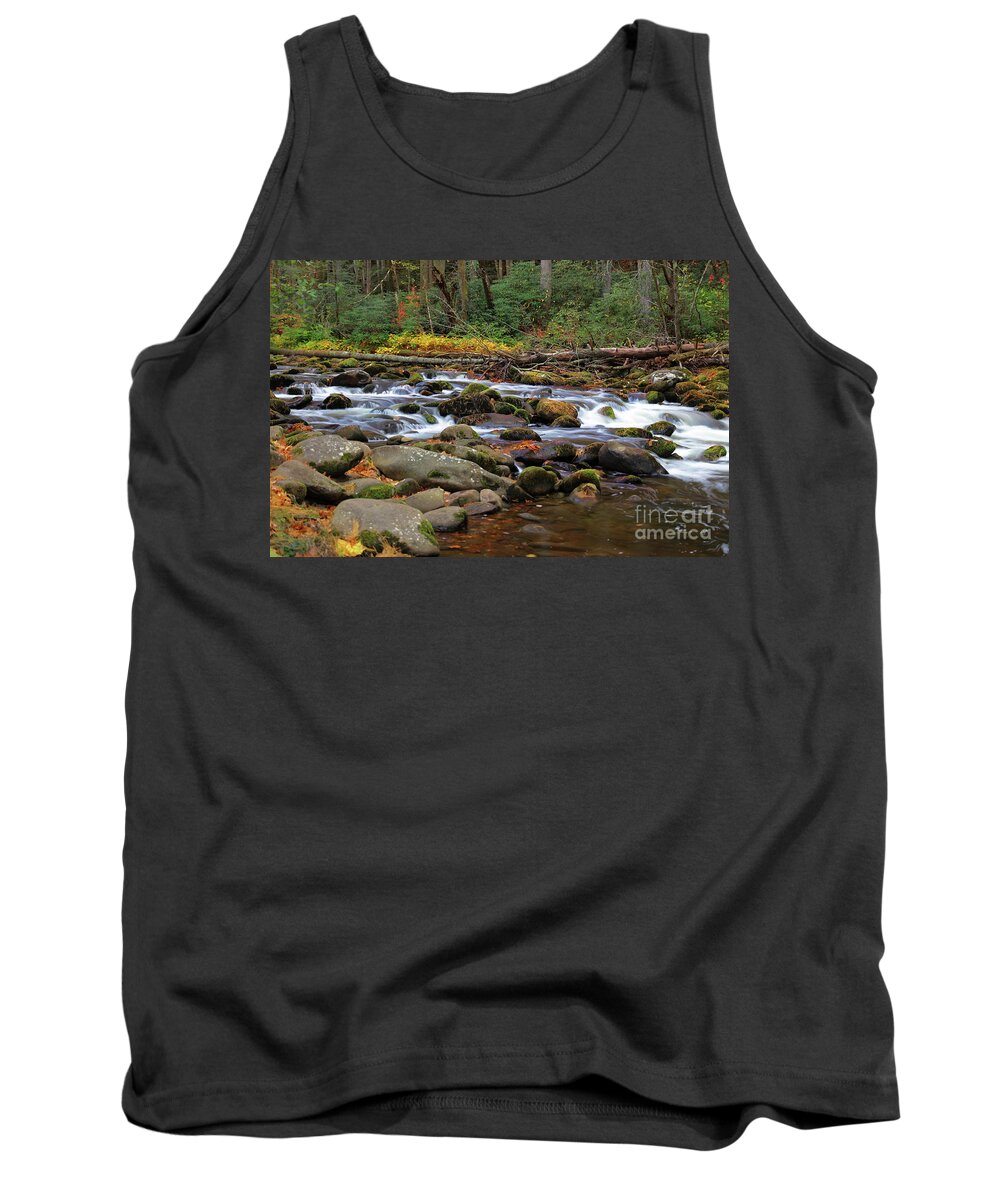 River Tank Top featuring the photograph Autumn Lullabye by Rick Lipscomb