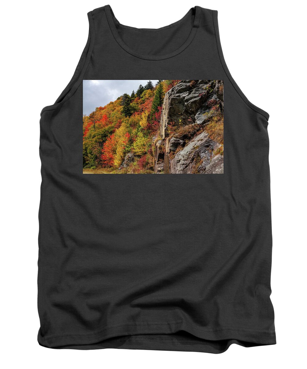 Autumn Tank Top featuring the photograph Autumn on the Mountain by Dan Carmichael