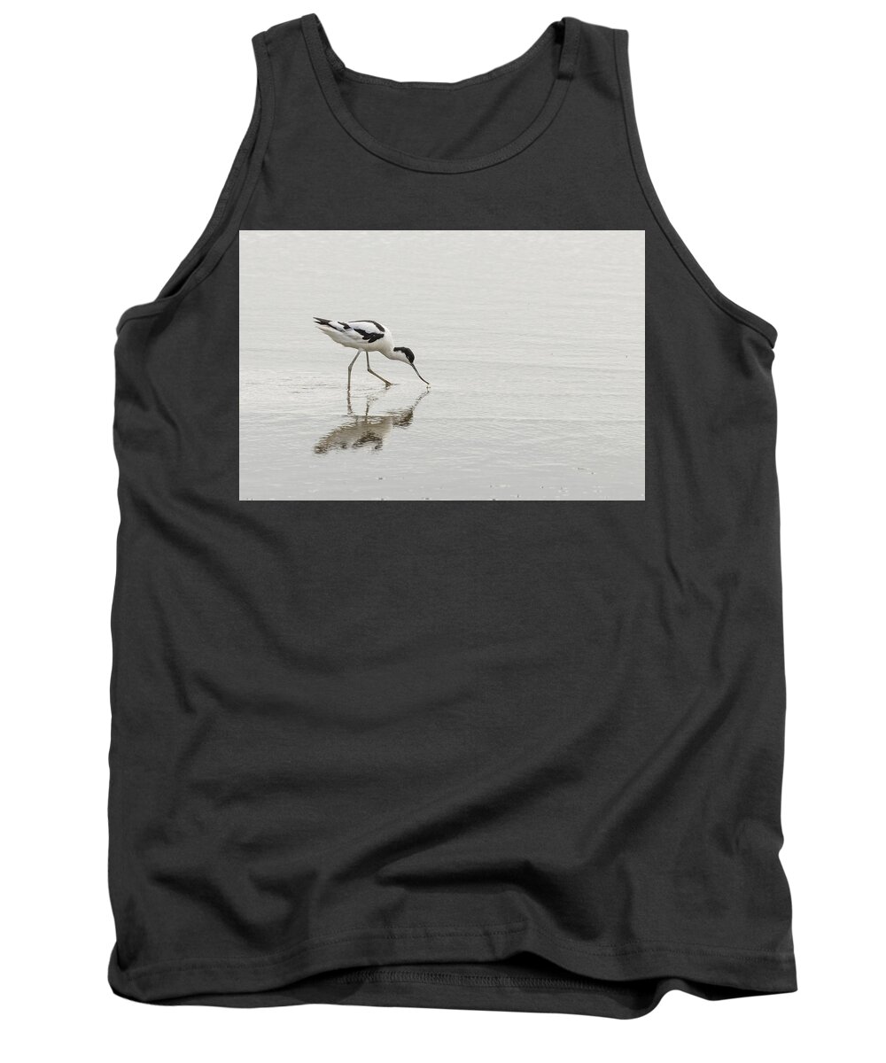 100-400mmlmk2 Tank Top featuring the photograph Avocet by Wendy Cooper