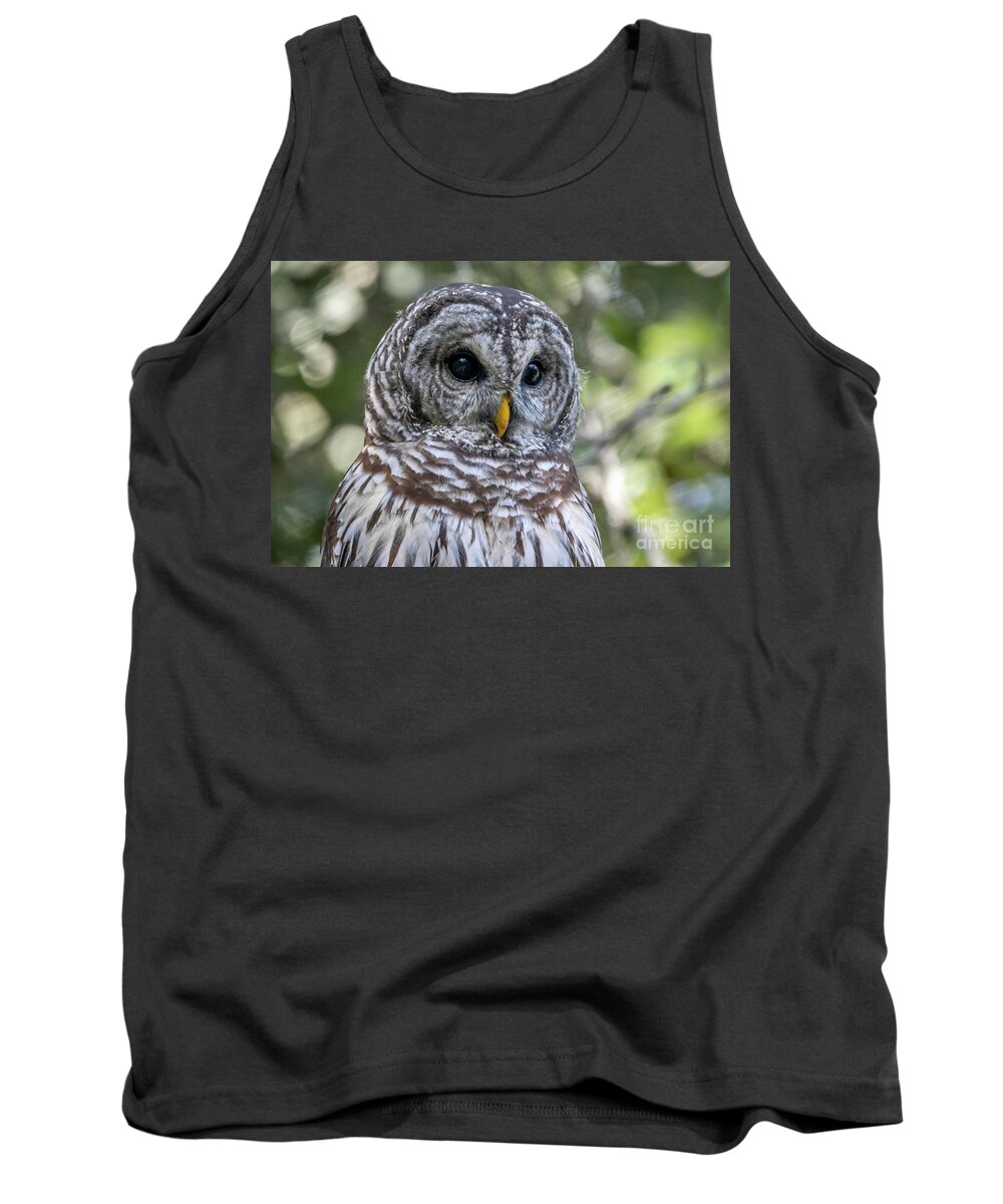 Owl. Barred Owl Tank Top featuring the photograph Barred Owl Eyes by Tom Claud