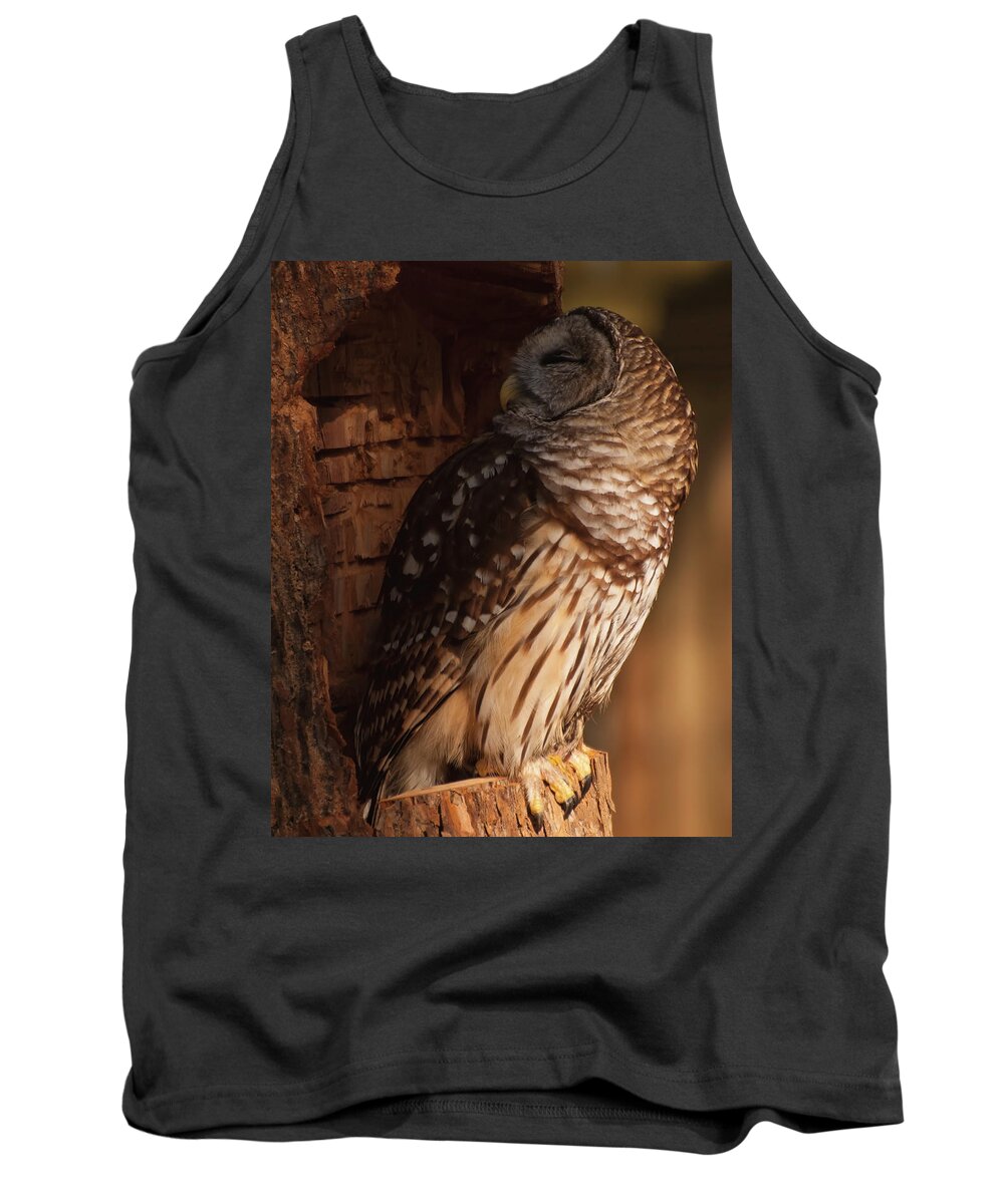 Owls Tank Top featuring the photograph Barred Owl Sleeping In A Tree by Flees Photos