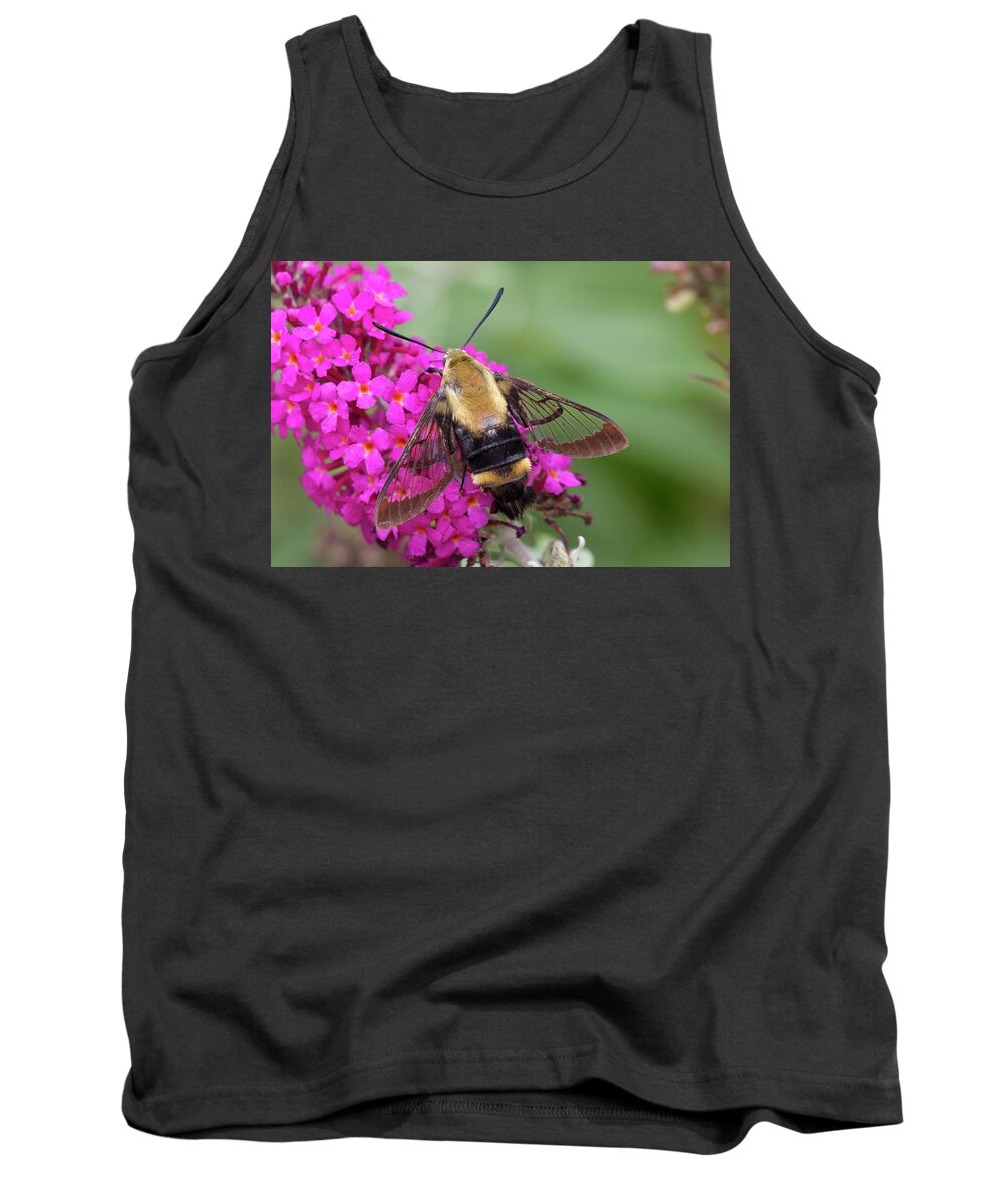 Animals Tank Top featuring the photograph Bee Moth on Bush by Charles Floyd
