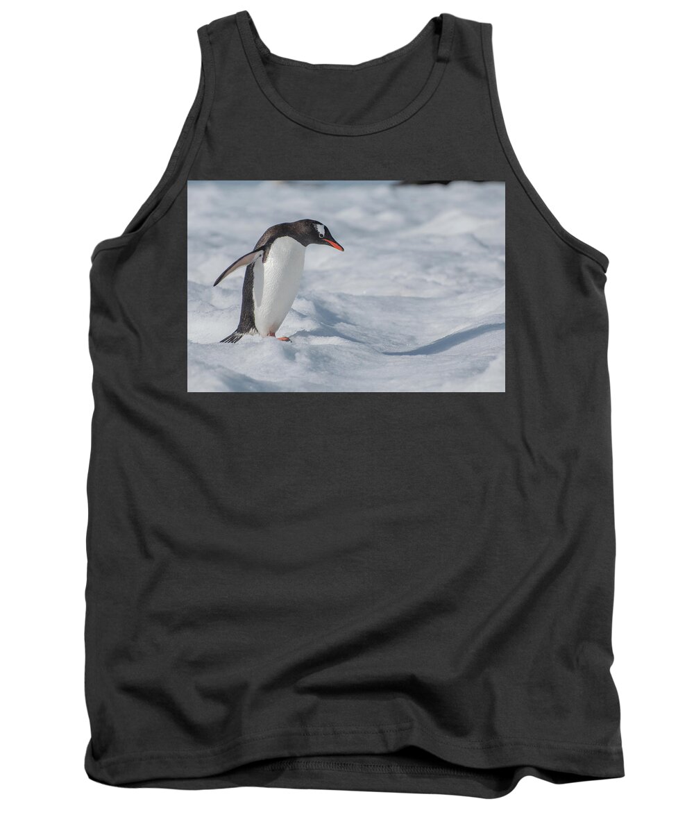 Penguin Tank Top featuring the photograph Big Step by Linda Villers