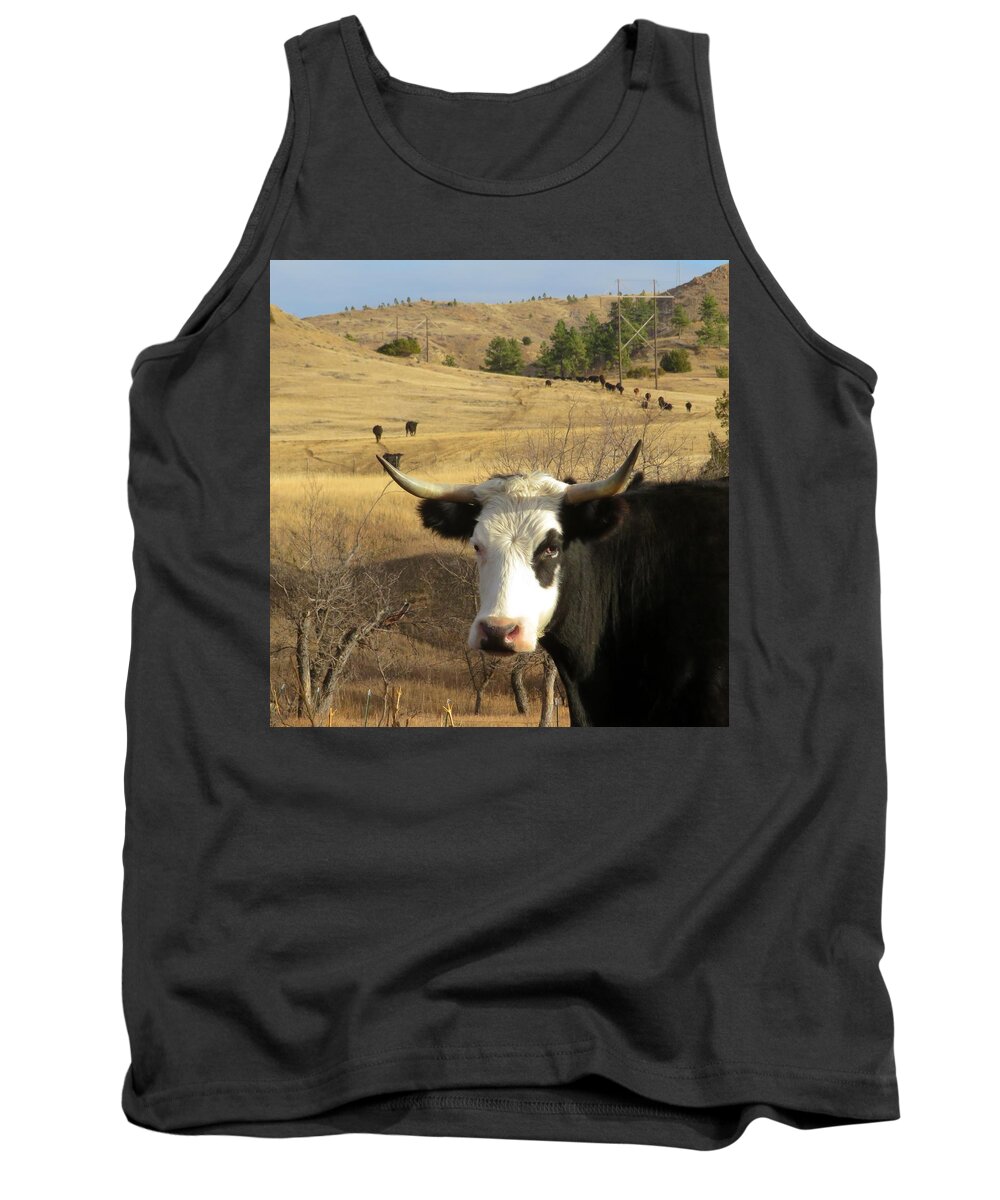 Cow Tank Top featuring the photograph Black Baldy Cow by Katie Keenan
