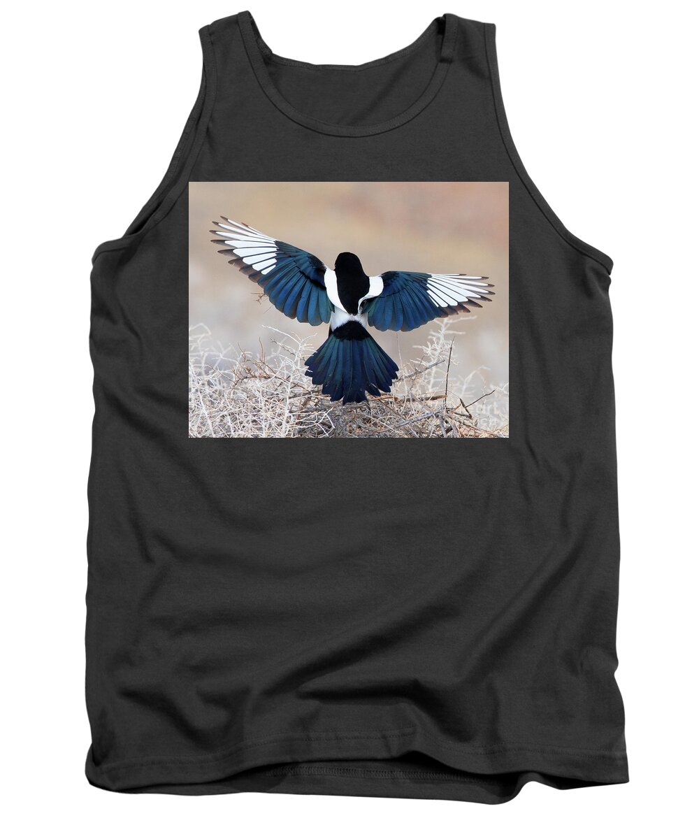 Bird Tank Top featuring the photograph Black-billed Magpie or Lady in Blue and White by Dennis Hammer
