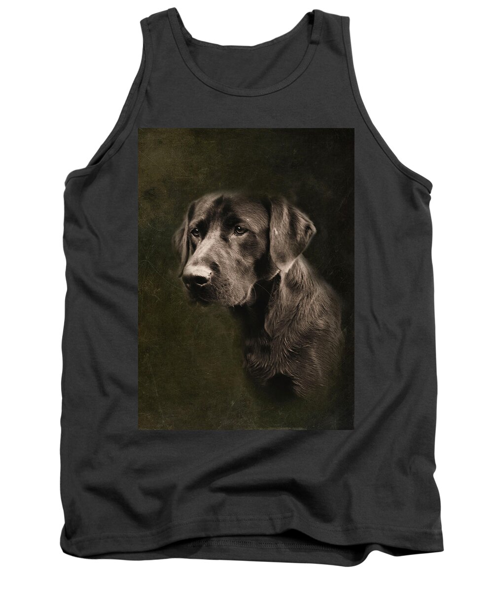 Black Lab Tank Top featuring the photograph Black Labrador by Sally Bauer