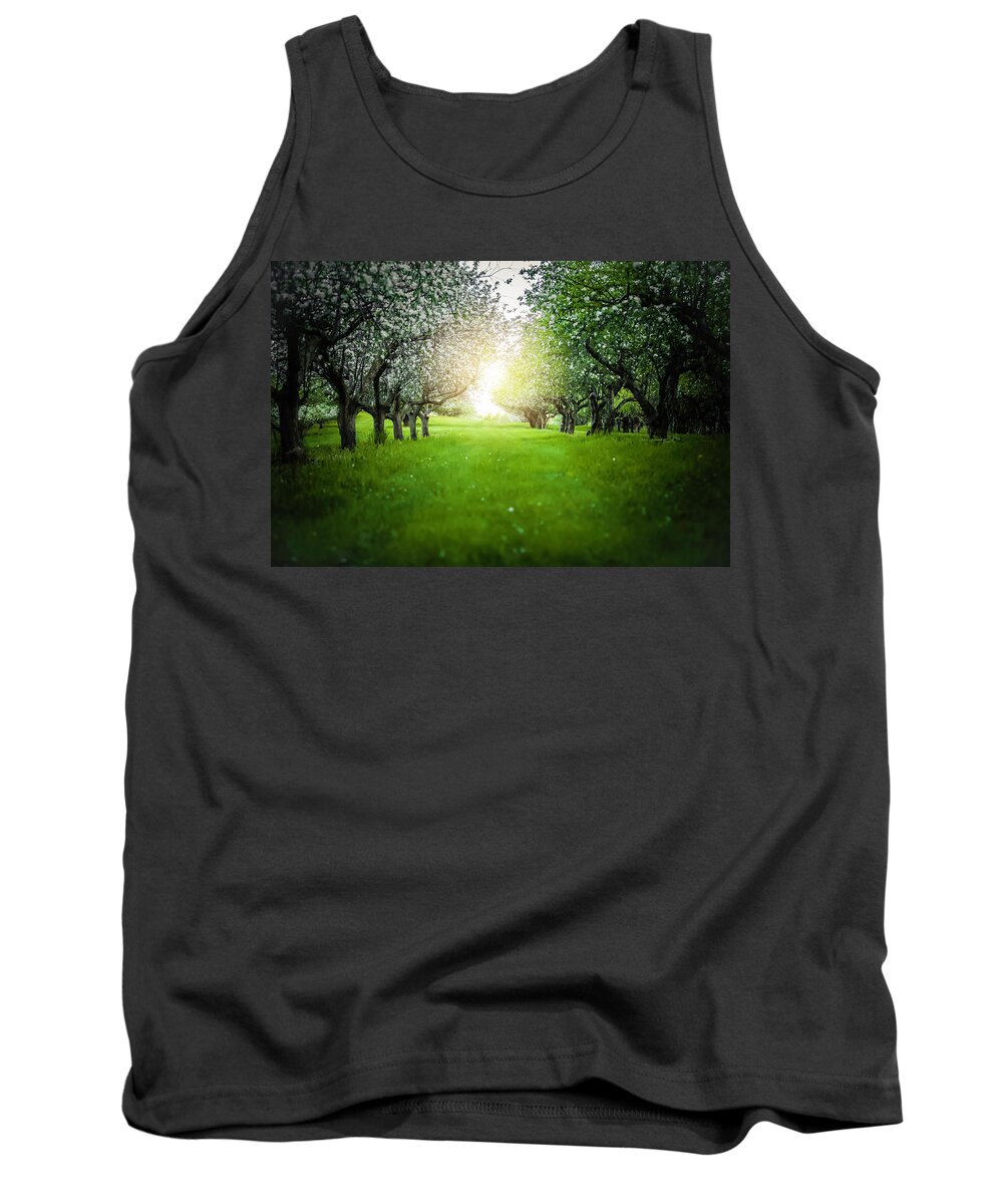  Tank Top featuring the photograph Blossum Heaven by Nicole Engstrom